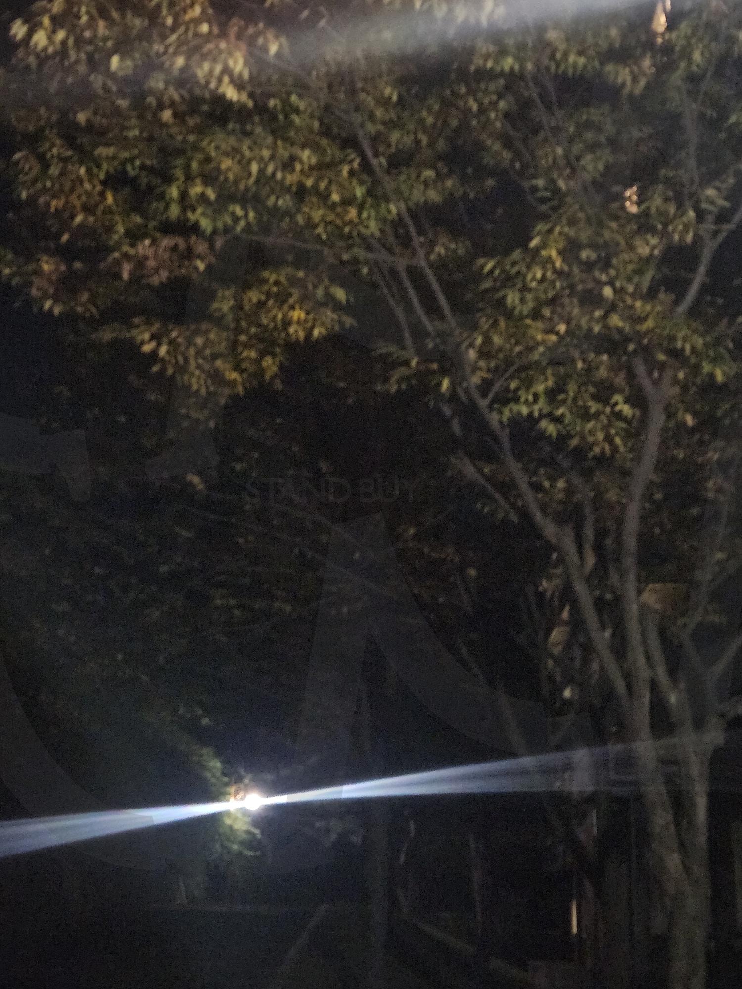 밤 산책 | 저녁, 감성, 초점, 빛, 산챡, 행복, 밤, 산책길, 가로등, 불빛 | 스탠바이 STANDBUY 디지털 콘텐츠