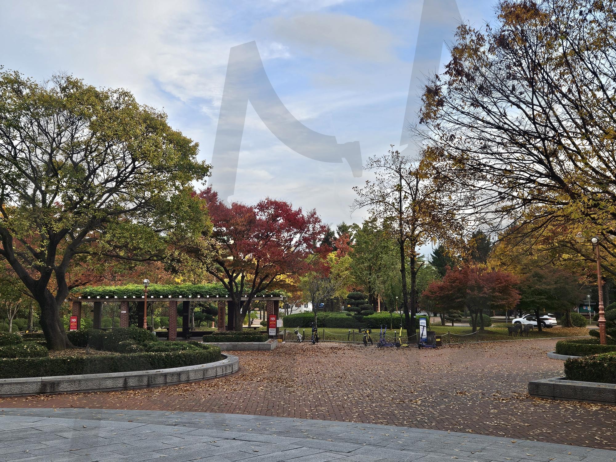 가을 풍경 | 가을, 단풍, 캠퍼스, 맑음, 행복, 풍경, 썸네일 | 스탠바이 STANDBUY 디지털 콘텐츠