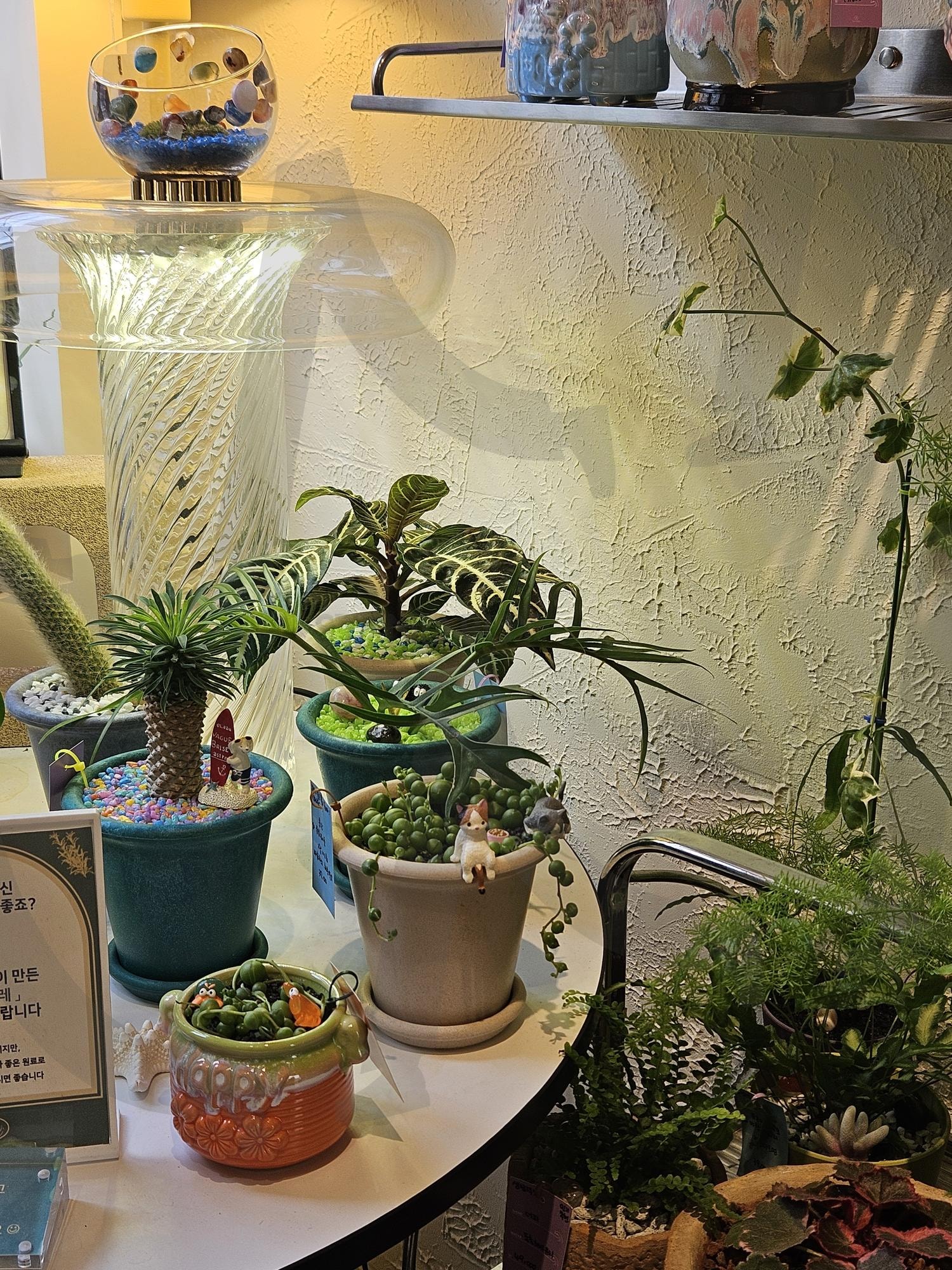 조명과 식물 | 조명, 식물, 인테리어, 은은한, 분위기, 부산, 러면, 여행, 친구, 소품샵, 구경 | 스탠바이 STANDBUY 디지털 콘텐츠