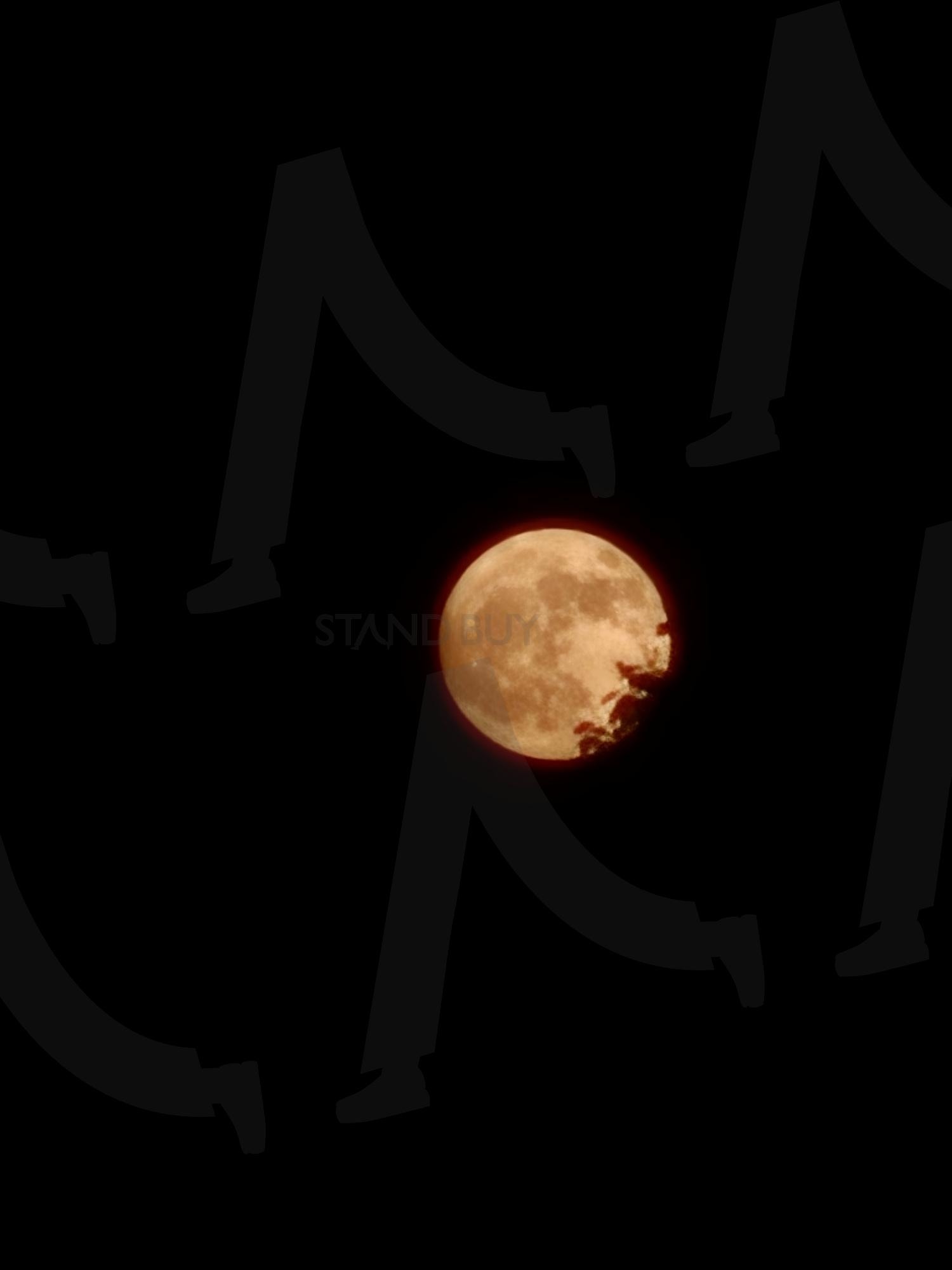 나뭇잎에 가려진 보름달 | 나뭇잎, 보름달, 밤, 분위기, 달 | 스탠바이 STANDBUY 디지털 콘텐츠