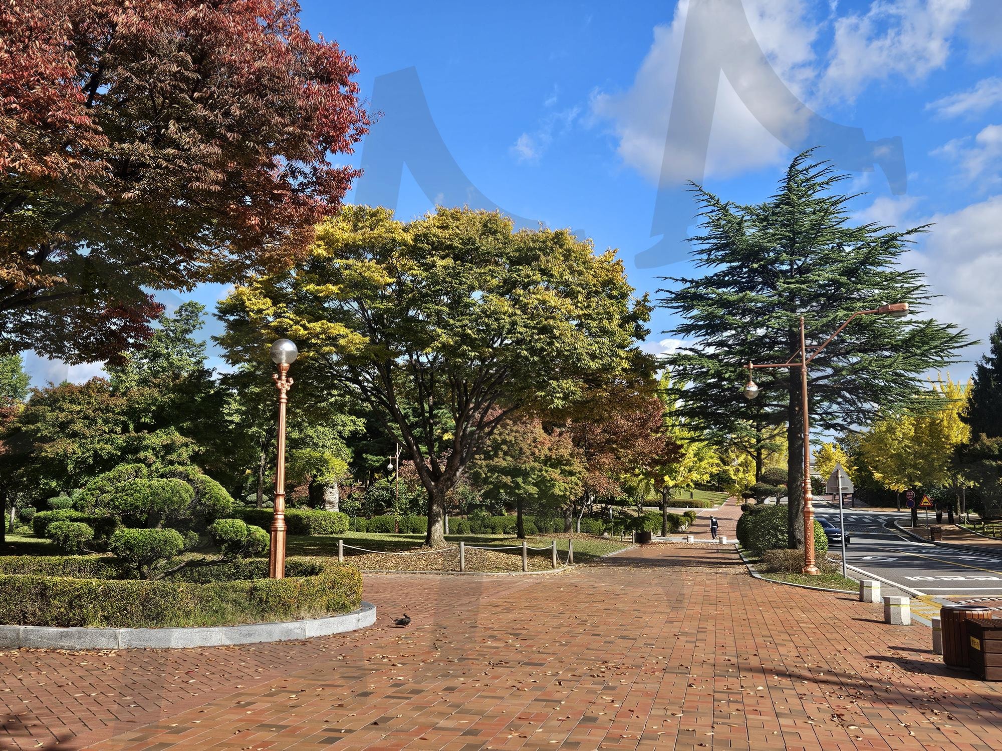 가을 캠퍼스 풍경 | 대구, 계명대, 캠퍼스, 가을, 계절, 화창함, 하늘, 구름, 썸네일 | 스탠바이 STANDBUY 디지털 콘텐츠