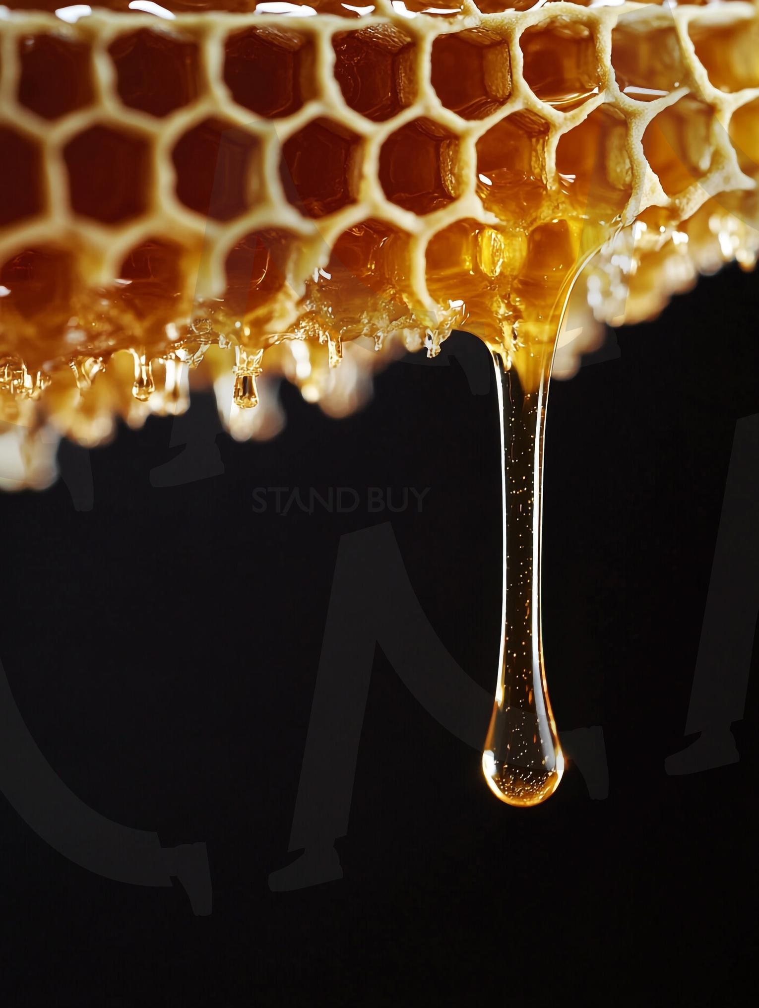 벌꿀 | 꿀벌, Honeybee, honey, 꿀채집, 꿀, 일벌, 벌꿀, 밀랍, 벌집, 프로폴리스, 양봉, 로얄제리, 로얄젤리, ai | 스탠바이 STANDBUY 디지털 콘텐츠