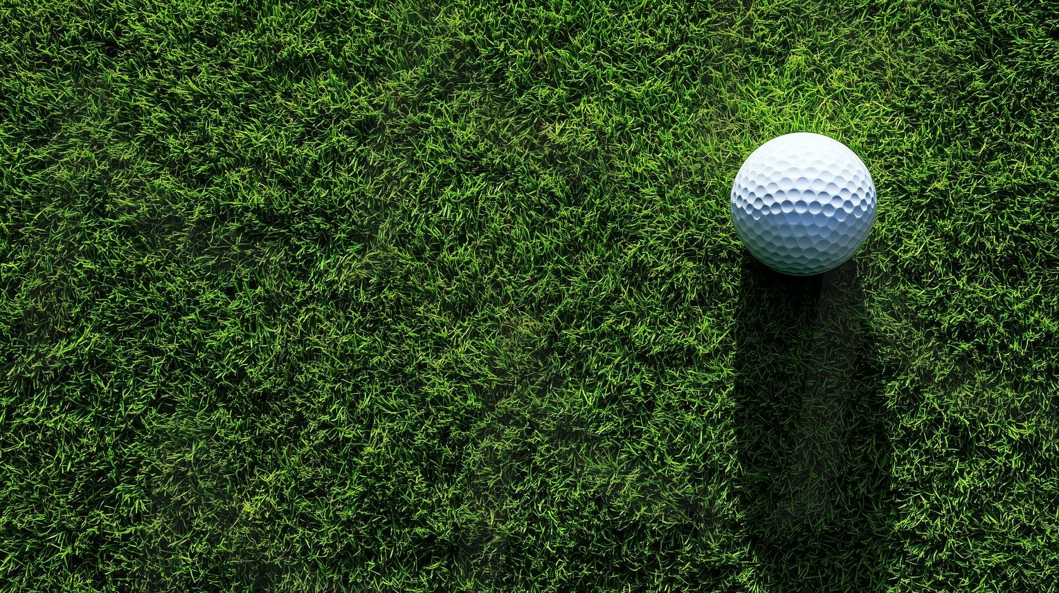골프공 | 골프장, 골프, 골프공, golf, 잔디, 들판, 목초, 그린, 그린필드, 골프그린, 자연, 잔디밭, 18홀, 스포츠, 골프코스, ai | 스탠바이 STANDBUY 디지털 콘텐츠