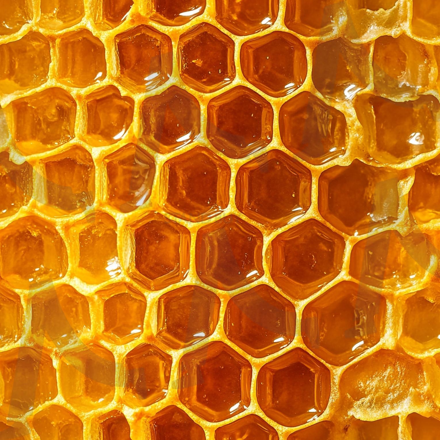 벌집 | 꿀벌, Honeybee, honey, 꿀채집, 꿀, 일벌, 벌꿀, 밀랍, 벌집, 프로폴리스, 양봉, 로얄제리, 로얄젤리, ai | 스탠바이 STANDBUY 디지털 콘텐츠