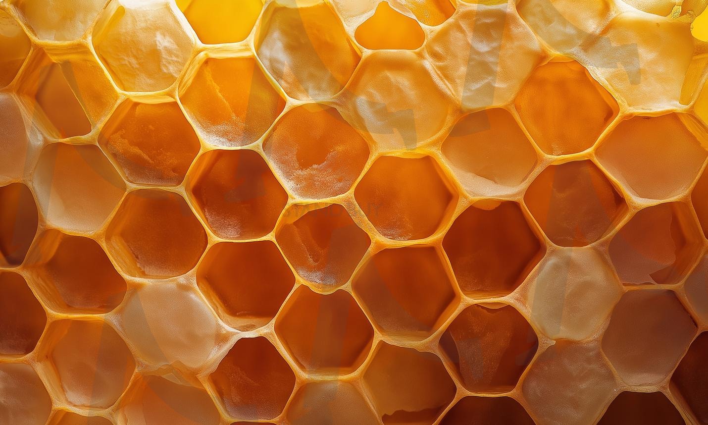 벌집 | 꿀벌, Honeybee, honey, 꿀채집, 꿀, 일벌, 벌꿀, 밀랍, 벌집, 프로폴리스, 양봉, 로얄제리, 로얄젤리, ai | 스탠바이 STANDBUY 디지털 콘텐츠