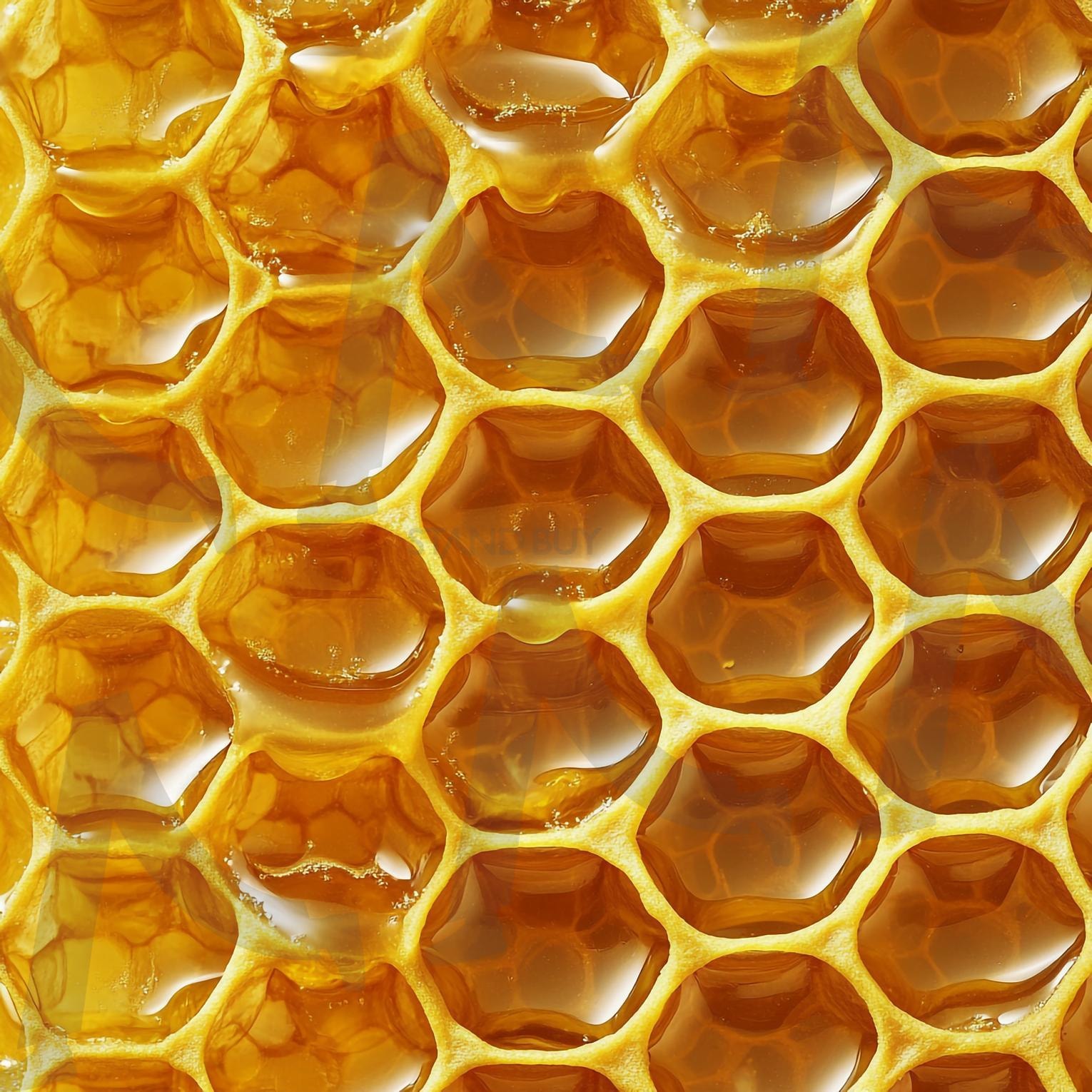 벌집 | 꿀벌, Honeybee, honey, 꿀채집, 꿀, 일벌, 벌꿀, 밀랍, 벌집, 프로폴리스, 양봉, 로얄제리, 로얄젤리, ai | 스탠바이 STANDBUY 디지털 콘텐츠