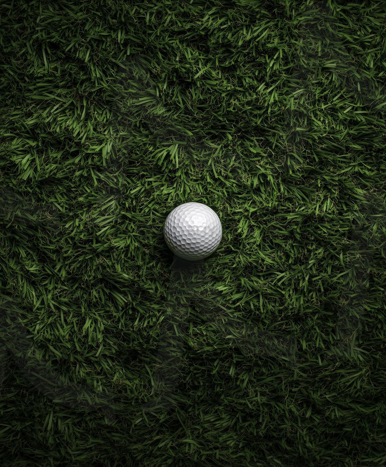 골프공 | 골프장, 골프, 골프공, golf, 잔디, 들판, 목초, 그린, 그린필드, 골프그린, 자연, 잔디밭, 18홀, 스포츠, 골프코스, ai | 스탠바이 STANDBUY 디지털 콘텐츠