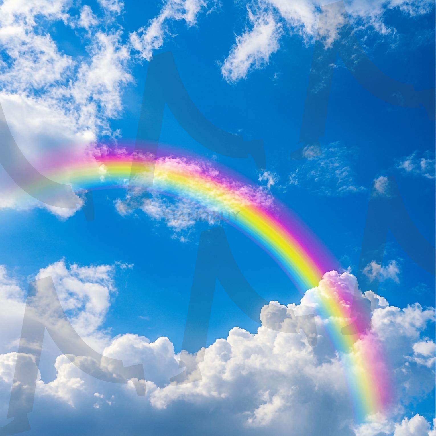 무지개 | 무지개, 레인보우, rainbow, 숲, 맑음, 무지개빛, 일기예보, 날씨, 스펙트럼, 하늘, ai | 스탠바이 STANDBUY 디지털 콘텐츠