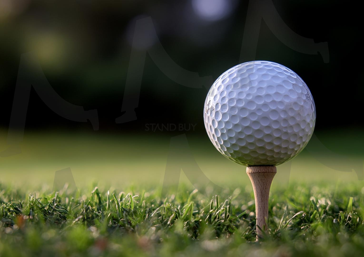 골프공 | 골프장, 골프, 골프공, golf, 잔디, 들판, 목초, 그린, 그린필드, 골프그린, 자연, 잔디밭, 18홀, 스포츠, 골프코스, ai | 스탠바이 STANDBUY 디지털 콘텐츠