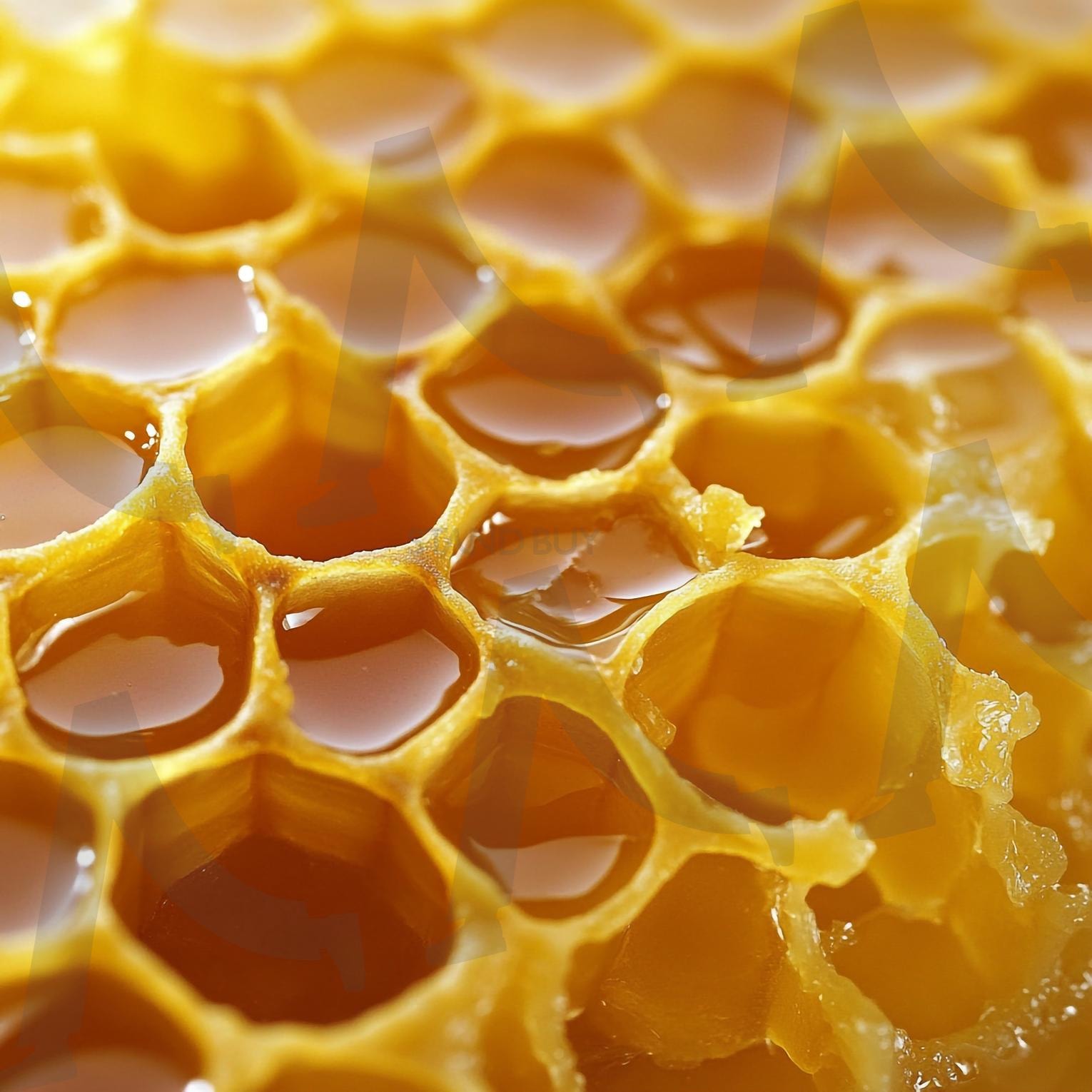벌집 | 꿀벌, Honeybee, honey, 꿀채집, 꿀, 일벌, 벌꿀, 밀랍, 벌집, 프로폴리스, 양봉, 로얄제리, 로얄젤리 | 스탠바이 STANDBUY 디지털 콘텐츠