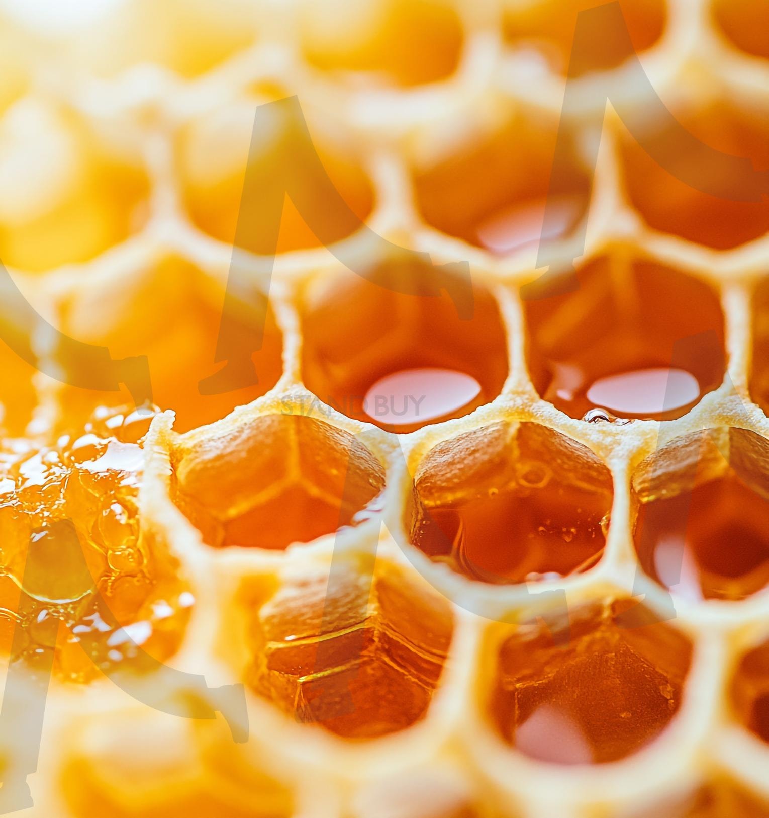 벌꿀 | 꿀벌, Honeybee, honey, 꿀채집, 꿀, 일벌, 벌꿀, 밀랍, 벌집, 프로폴리스, 양봉, 로얄제리, 로얄젤리, ai | 스탠바이 STANDBUY 디지털 콘텐츠