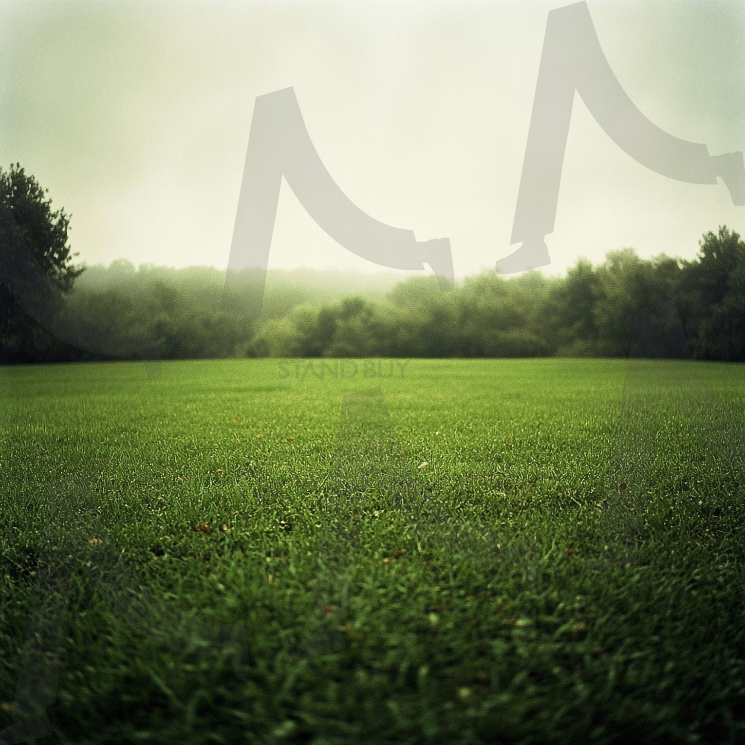 초원 | 풀밭, 잔디, 잔듸, 그린필드, 전원, 자연, grass, grass field, 자연풍경, 잔디밭, 초록, 들판, 목초, Green, 목초지, 네이처, 농장, 식물, 초원, ai | 스탠바이 STANDBUY 디지털 콘텐츠