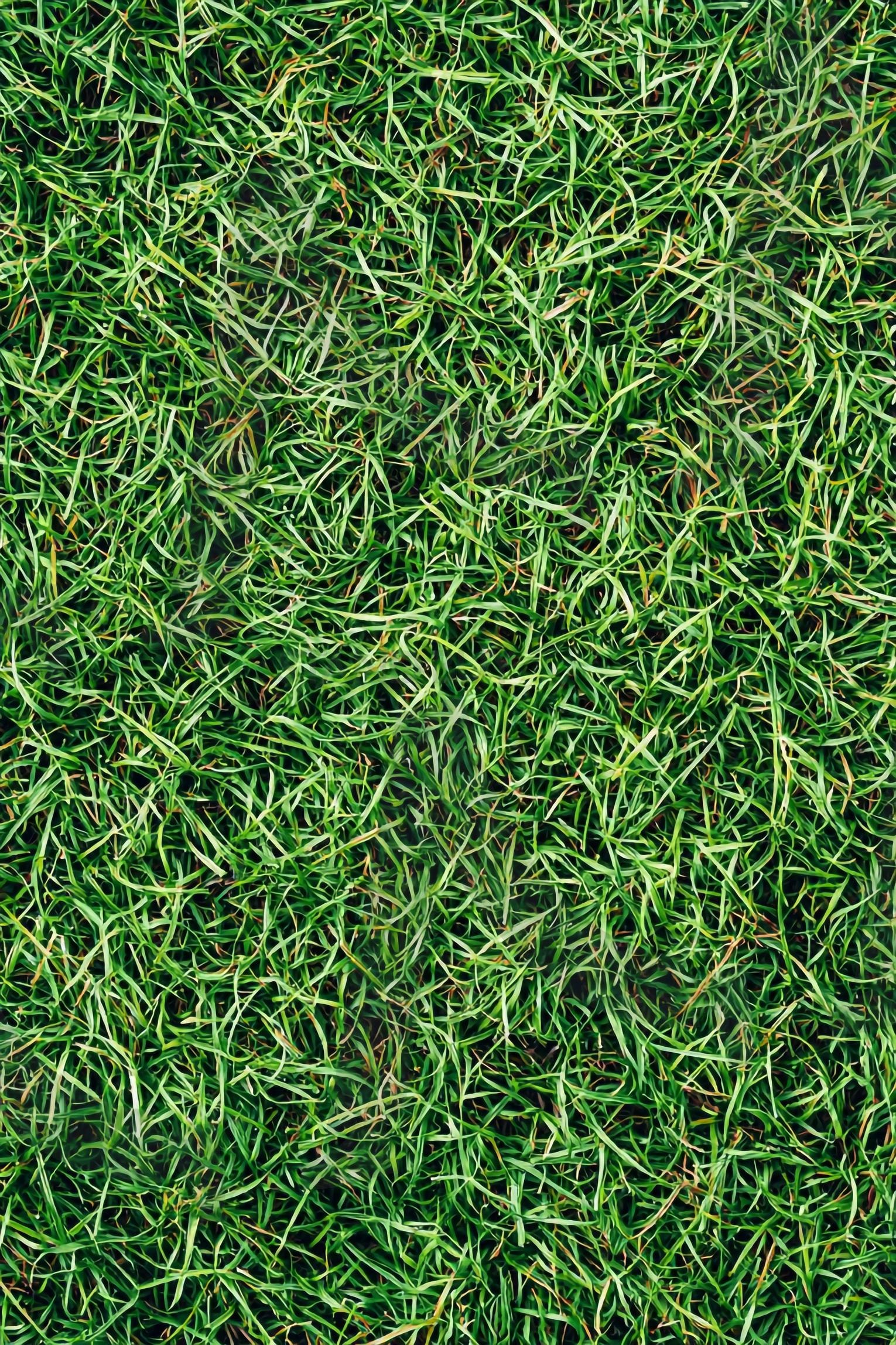 잔디 | 풀밭, 잔디, 잔듸, 그린필드, 전원, 자연, grass, grass field, 자연풍경, 잔디밭, 초록, 들판, 목초, Green, 목초지, 네이처, 농장, 식물, ai | 스탠바이 STANDBUY 디지털 콘텐츠