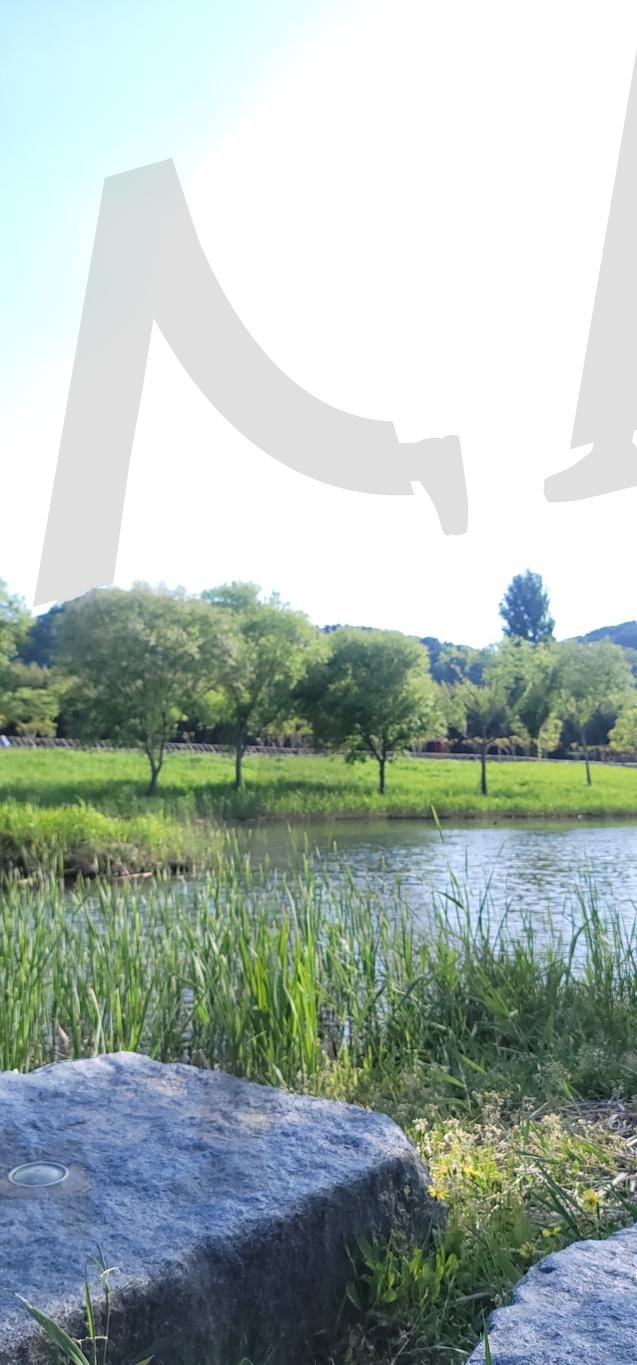 울산 태화강 국가정원 대나무 | 경치, 개울물, 돌다리, 강, 강물, 정원 | 스탠바이 STANDBUY 디지털 콘텐츠