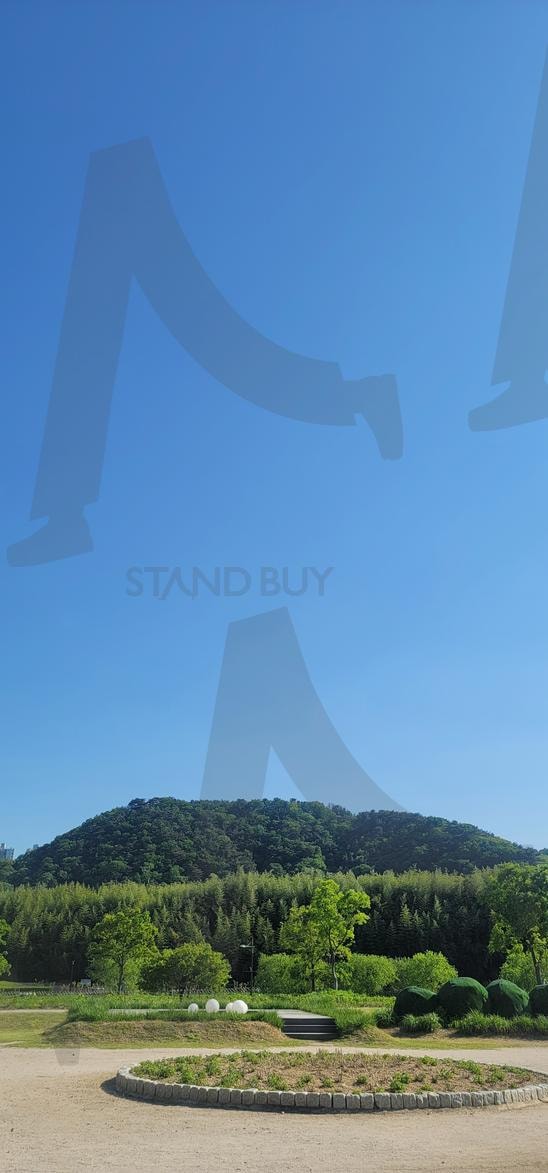 대나무숲 | 대나무, 대나무숲, 울산국가정원, 죽순, 태화강국가정원 | 스탠바이 STANDBUY 디지털 콘텐츠