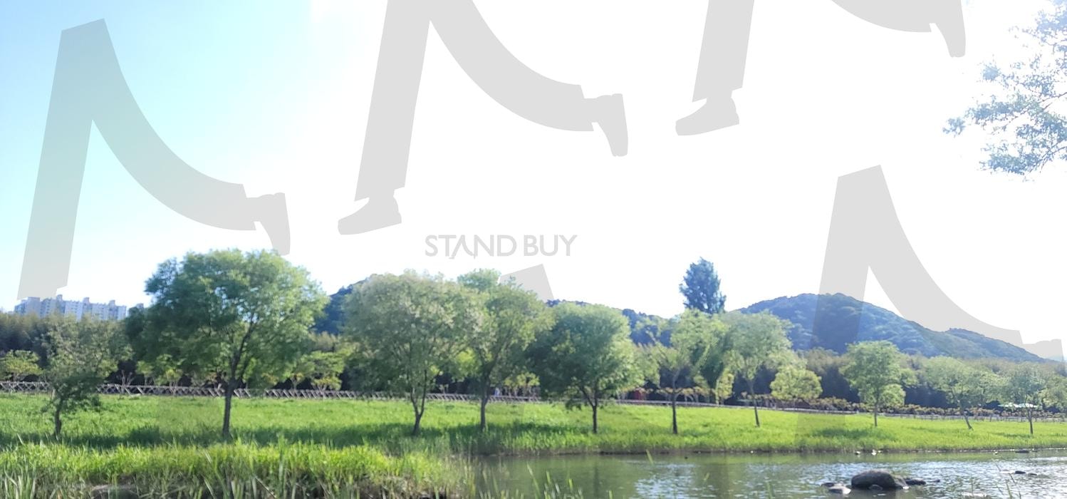 공원, 대나무 | 개울물, 대나무, 죽순, 돌다리, 공원 | 스탠바이 STANDBUY 디지털 콘텐츠