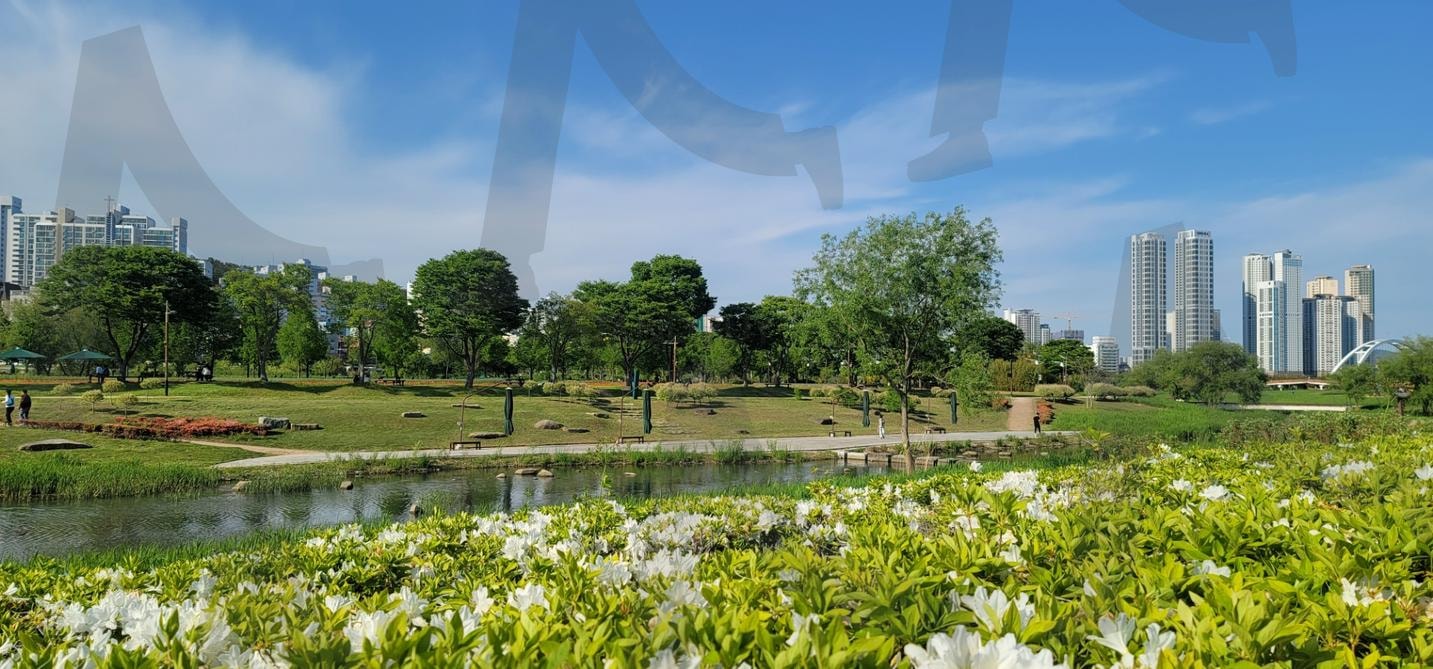 정원에 철쭉꽃밭 | 철쭉, 철죽, 철쭉꽃밭, 정원, 정원꽃밭, 숲 | 스탠바이 STANDBUY 디지털 콘텐츠