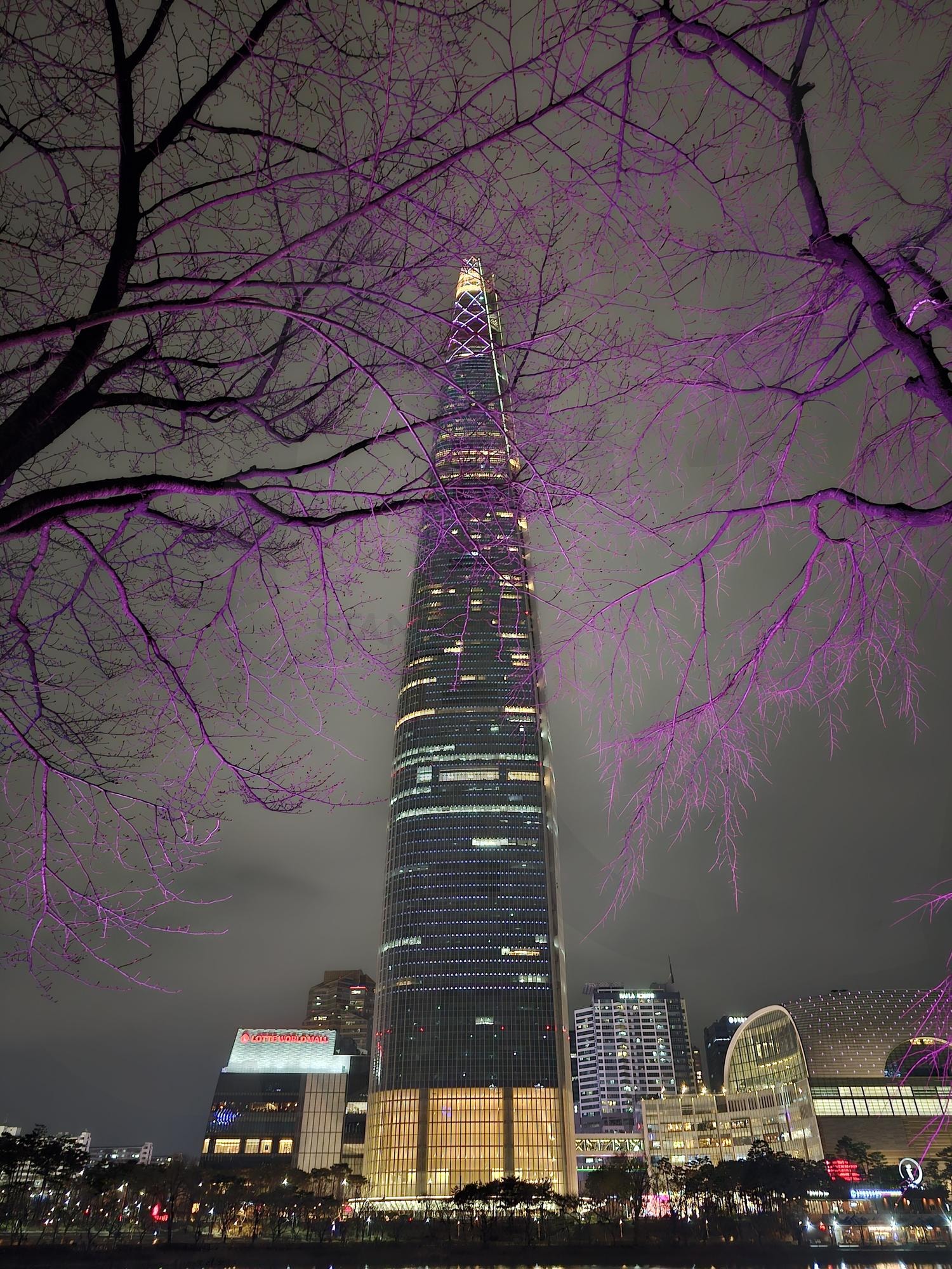봄날의 롯데타워 | 롯데타워, 서울, 석촌호수, 야경, 잠실 | 스탠바이 STANDBUY 디지털 콘텐츠