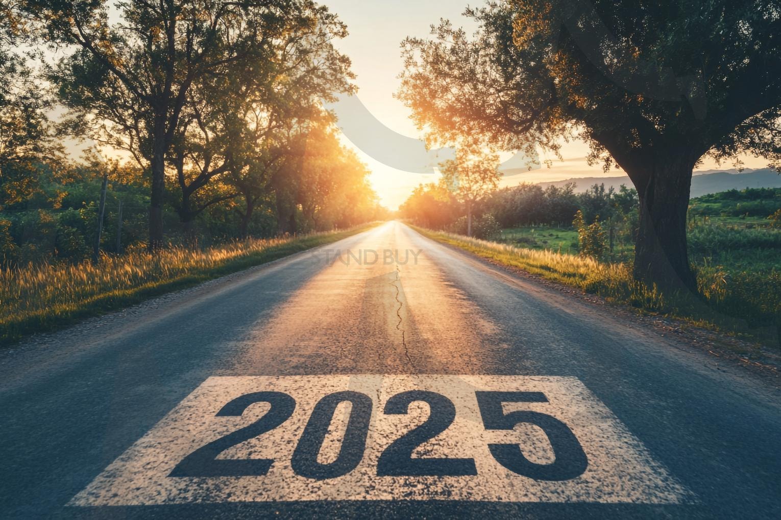 새해 | 2025년, 새해, 2025, new year, 새해결심, 새해목표, 목표, 을사년, 신년, 새해복많이받으세요, 새해인사, Happy New Year, ai | 스탠바이 STANDBUY 디지털 콘텐츠