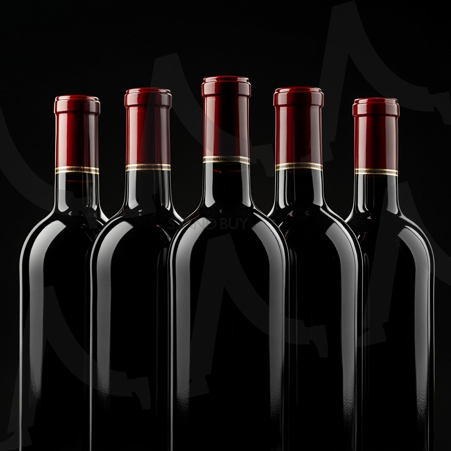 와인 | 와인, 포도주, wine, 숙성, 술, 알콜, 알코올, 레드와인, red wine, white wine, 화이트와인, 글라스, 병, 샴페인, 와인잔, celebration, 파티, 기념, 적포도주, 와인병, 레스토랑, 카베르네 소비뇽, 칵테일, 부르고뉴, 와이너리, ai | 스탠바이 STANDBUY 디지털 콘텐츠