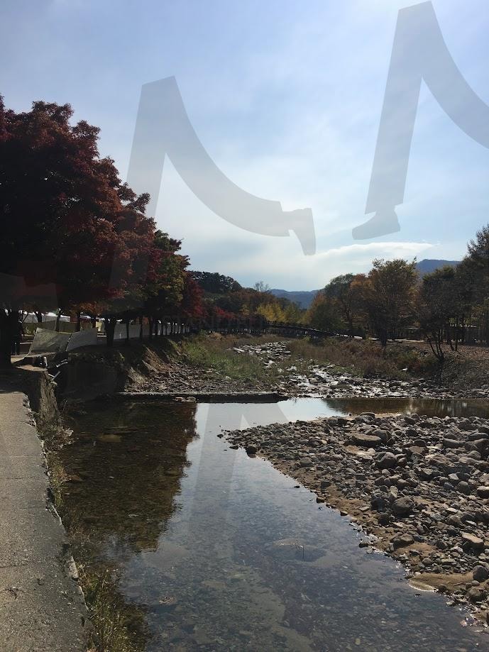 개울가 | 문경, 개울가, 개천, 가을, 단풍 | 스탠바이 STANDBUY 디지털 콘텐츠