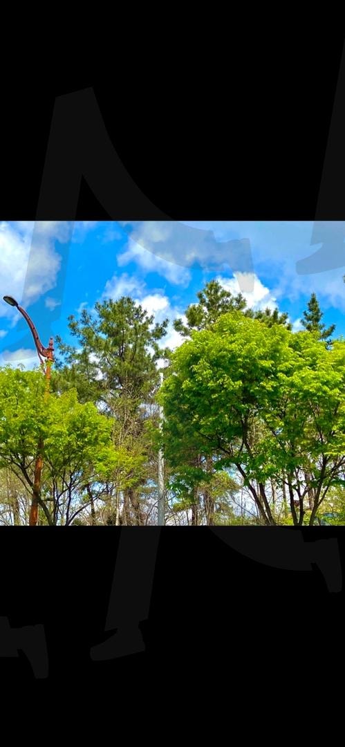 푸른 틈, 금호동의 여름 | 금호동, 여름풍경, 맑은하늘, 초록나무, 감성사진, 여름하늘, 여름, 도시와자연, 광주풍경 | 스탠바이 STANDBUY 디지털 콘텐츠