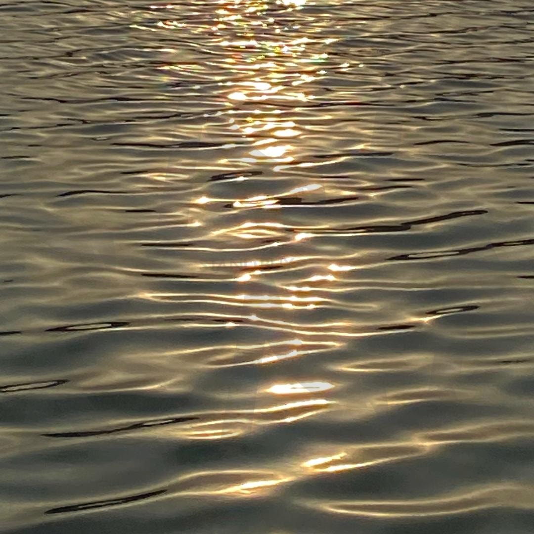 물결의 숨결 | 풍암저수지, 물결, 고요한, 감성사진, 호수, 광주풍경 | 스탠바이 STANDBUY 디지털 콘텐츠