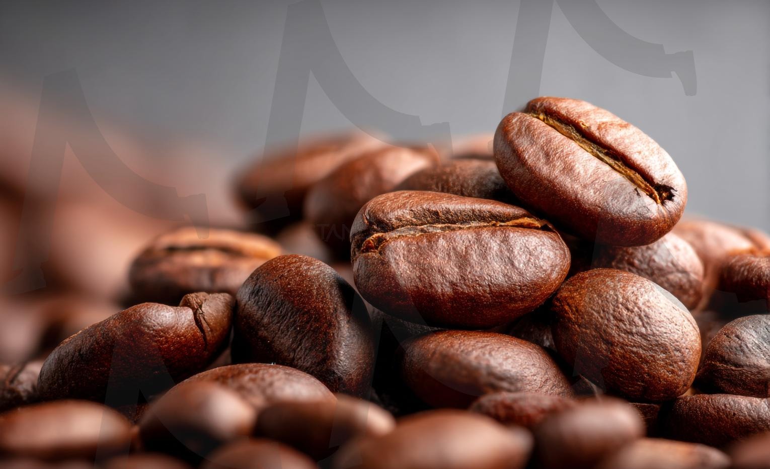 커피 원두 | 커피원두, 원두커피, 생두, 볶은원두, 아라비카원두, 로부스타원두, 커피콩, 원두자루, 원두로스팅, 원두향, 원두분쇄, 핸드드립원두, 에스프레소원두, 원두보관, 원두가루, 커피농장, 커피플랜테이션, 원두샘플, 원두패키지, 원두아트, 커피, 커피빈, coffee bean, ai | 스탠바이 STANDBUY 디지털 콘텐츠