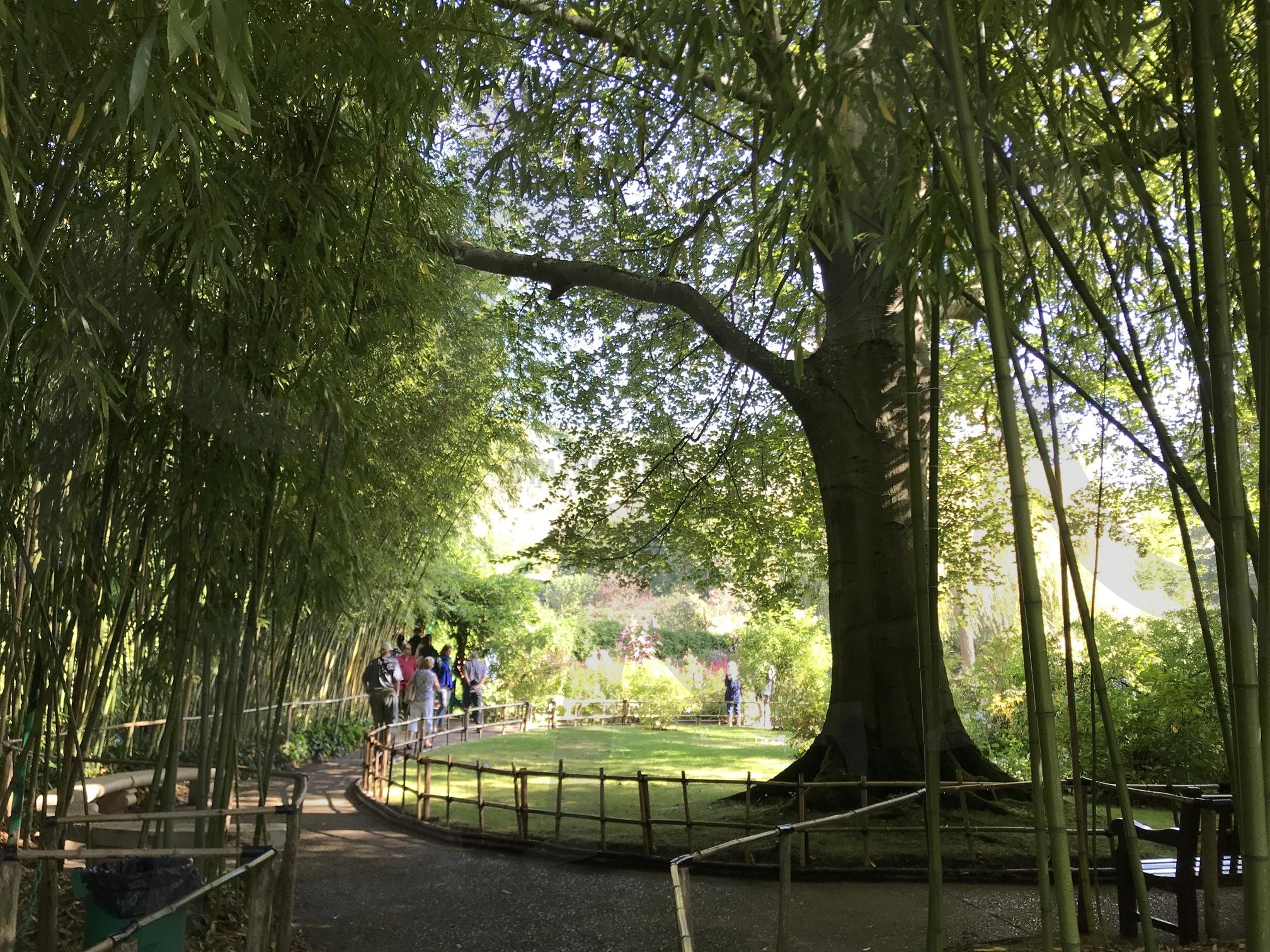 네덜란드 자안담 모네 아틀리에(MonetAtelier) | 모네, 클로드모네, 네덜란드, 자안담, 블루하우스, 모네아틀리에 | 스탠바이 STANDBUY 디지털 콘텐츠