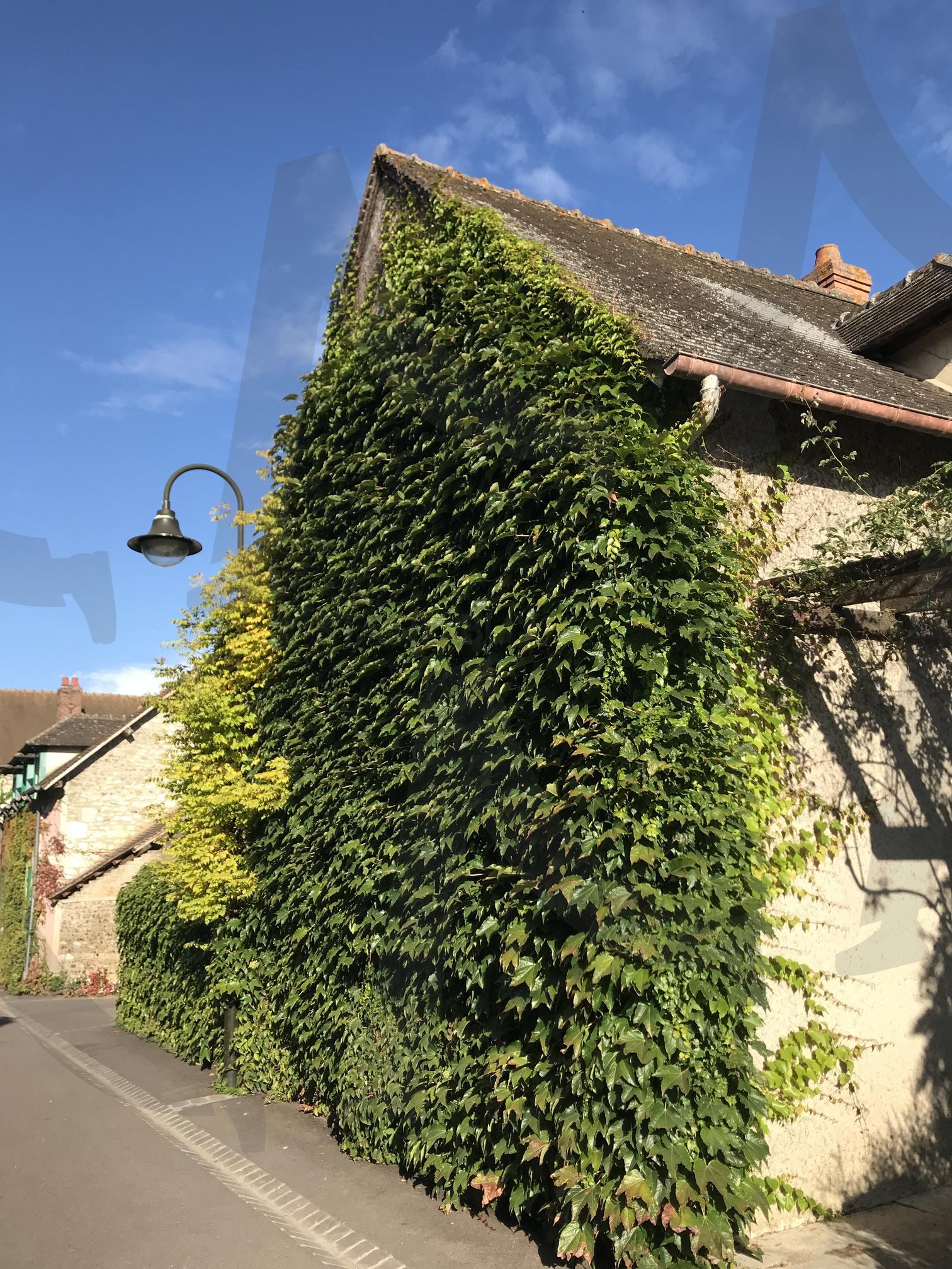 네덜란드 자안담 모네 아틀리에(MonetAtelier) | 모네, 클로드모네, 네덜란드, 블루하우스, 자안담 | 스탠바이 STANDBUY 디지털 콘텐츠