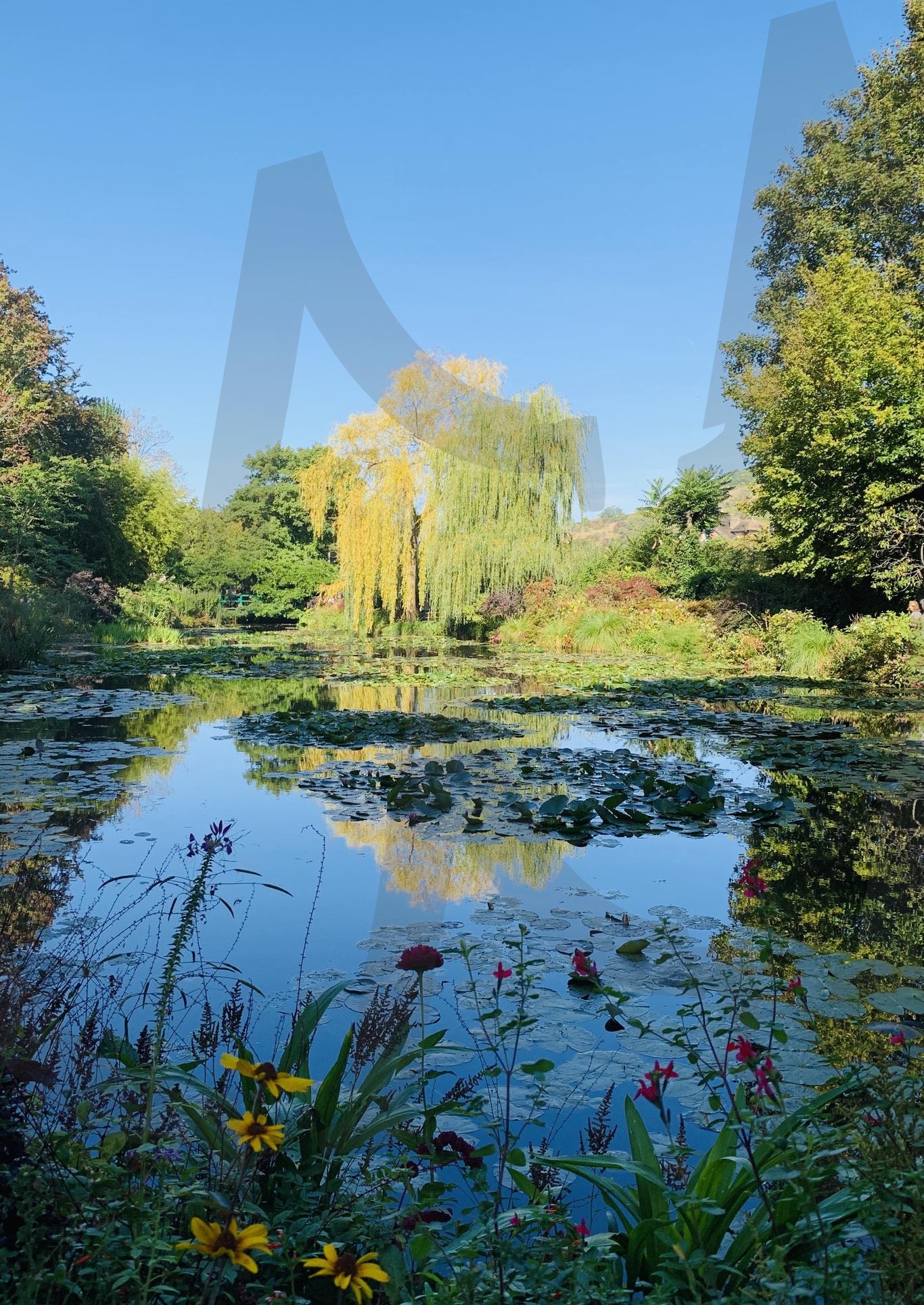 모네 아틀리에(MonetAtelier) | 모네, 클로드모네, 네덜란드, 자안담, 블루하우스, 모네아틀리에 | 스탠바이 STANDBUY 디지털 콘텐츠