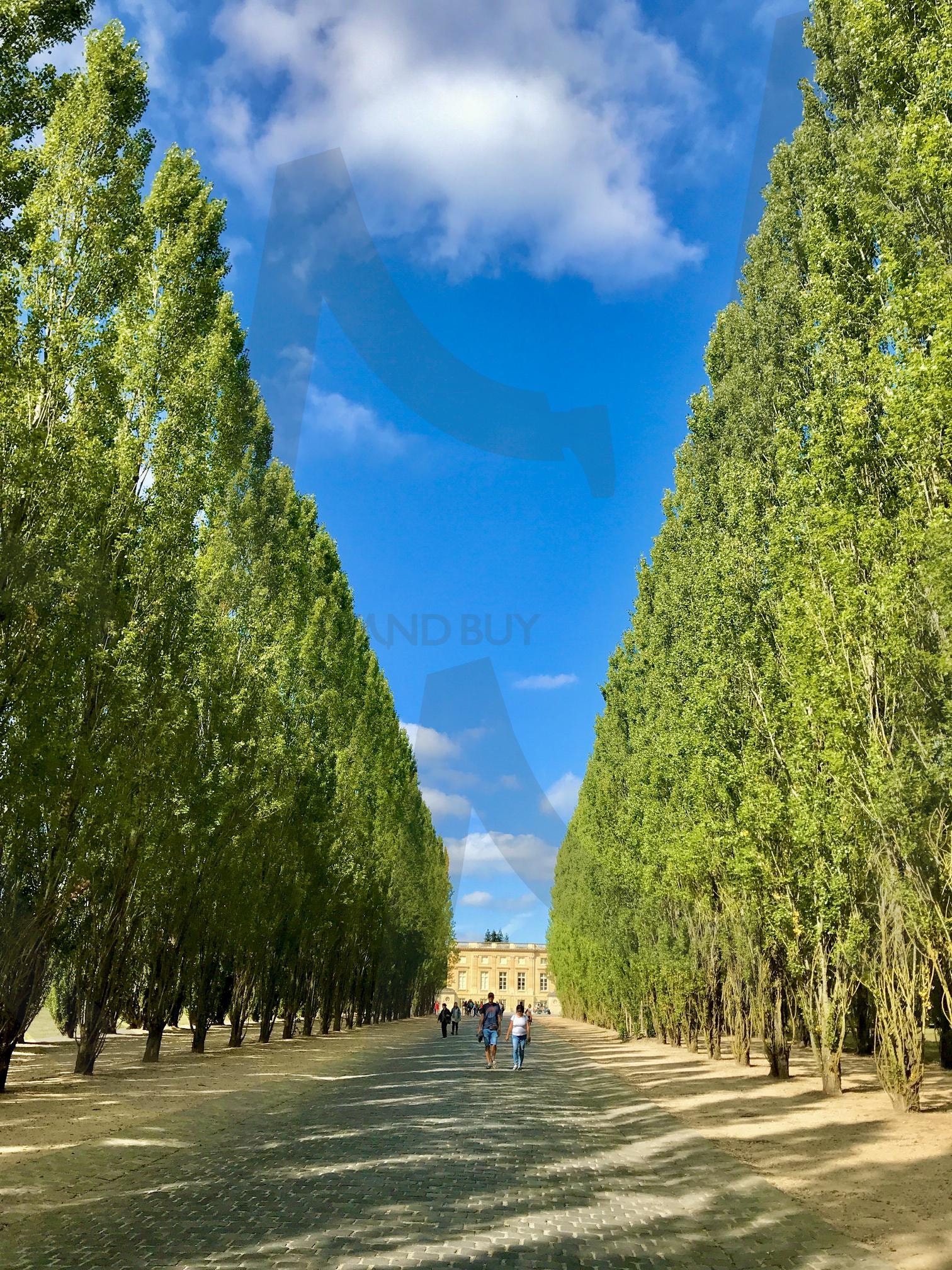 베르샤유궁전 | 프랑스, 쁘리트리아, 베르사유궁전, 포플러길, 쁘디트리아농가는길 | 스탠바이 STANDBUY 디지털 콘텐츠