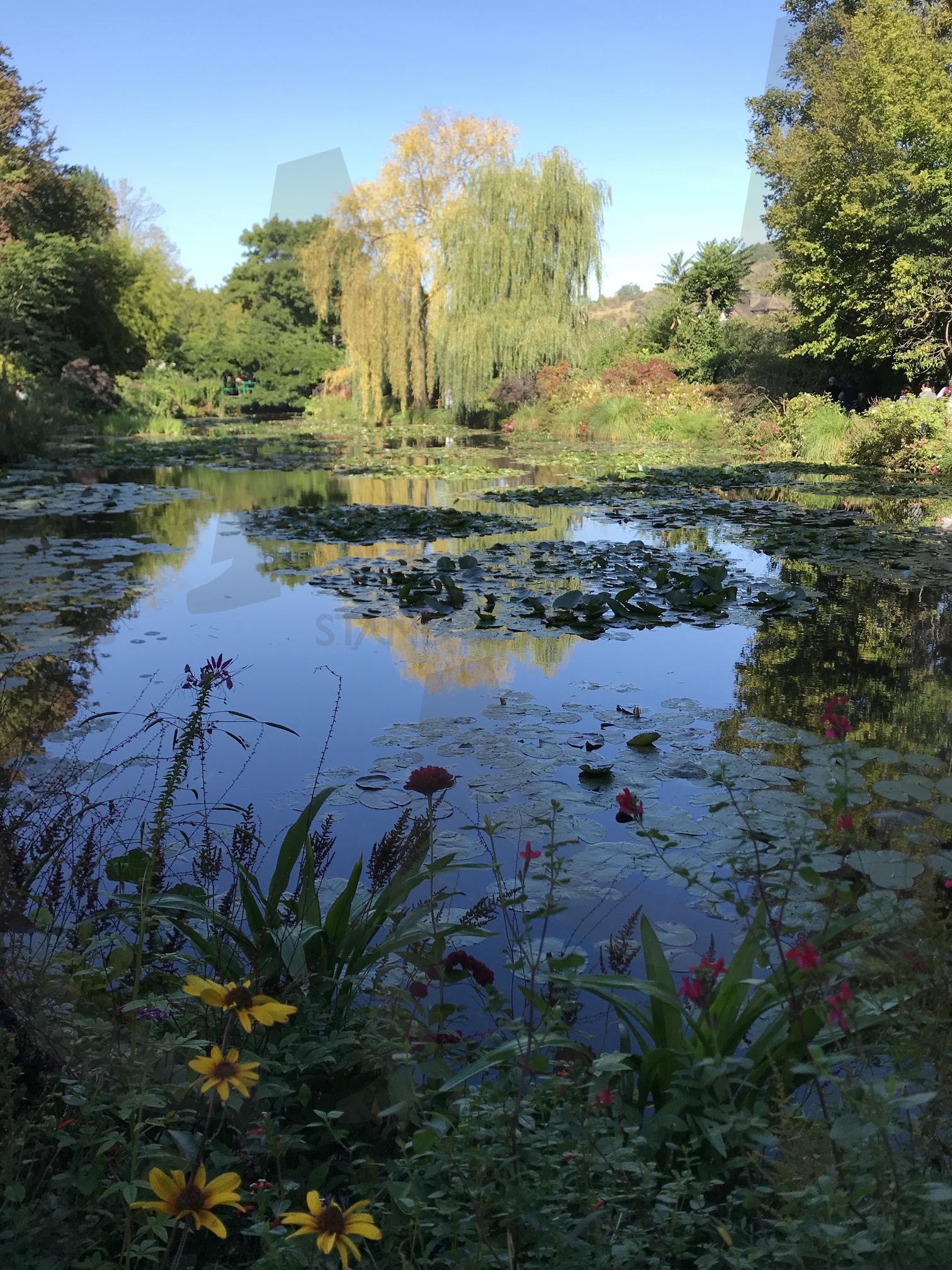 모네 아틀리에(MonetAtelier) | 모네, 클로드모네, 네덜란드, 자안담, 블루하우스, 모네아틀리에 | 스탠바이 STANDBUY 디지털 콘텐츠