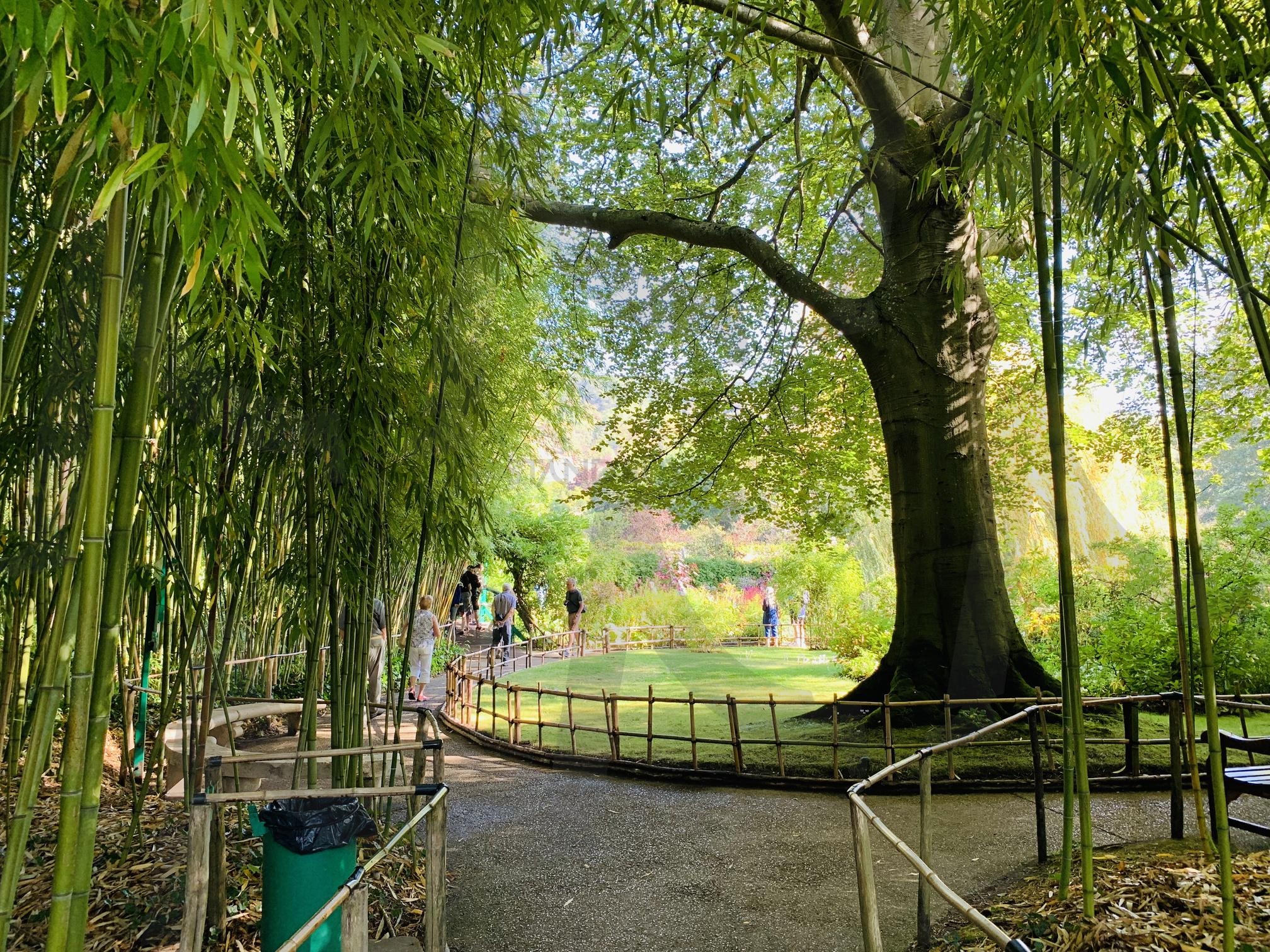 모네 아틀리에(MonetAtelier) | 모네, 클로드모네, 네덜란드, 자안담, 블루하우스, 모네아틀리에 | 스탠바이 STANDBUY 디지털 콘텐츠