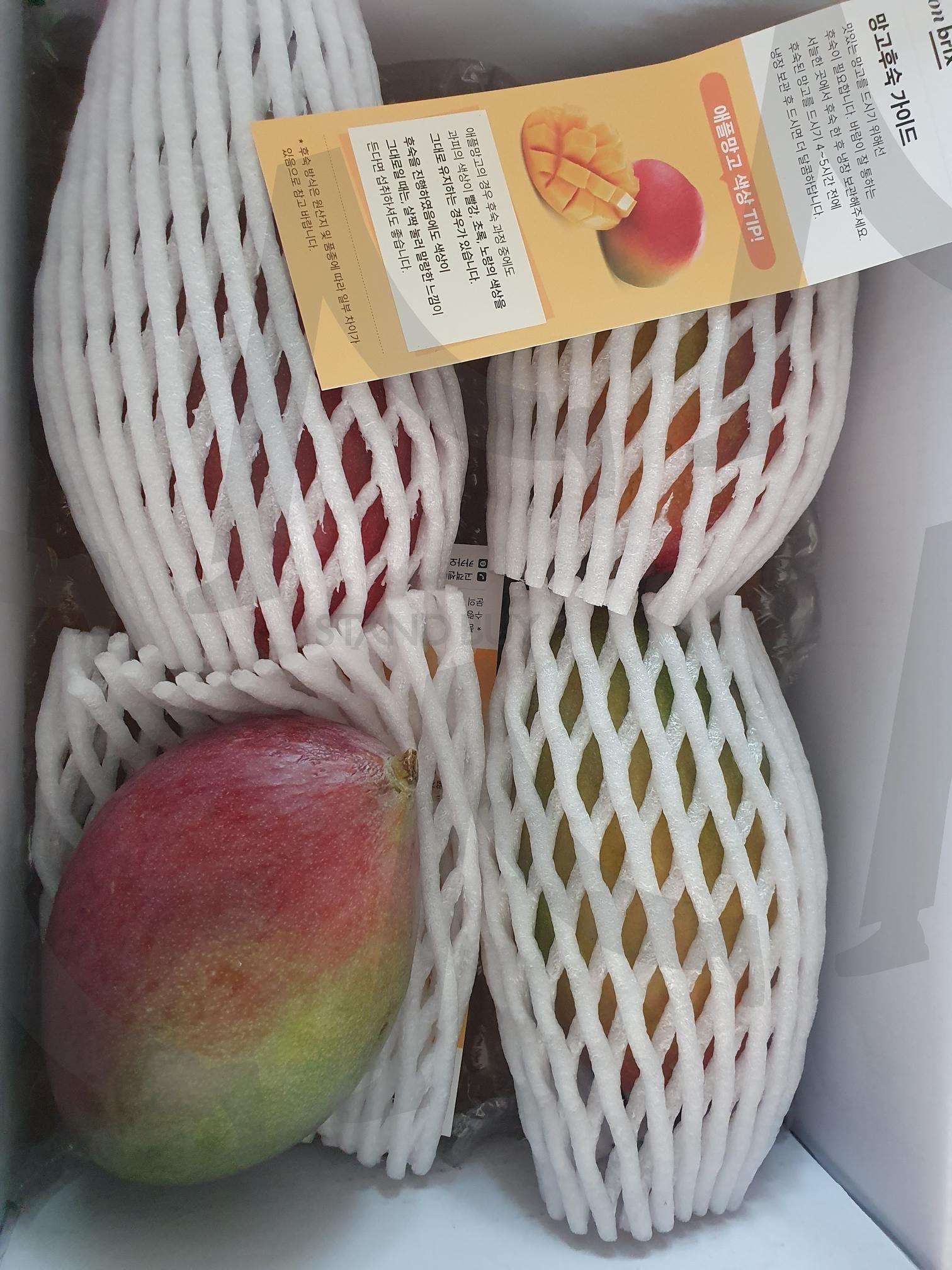 애플망고 | 애플망고, 온브릭스, 선물세트, 과일, 추천 | 스탠바이 STANDBUY 디지털 콘텐츠