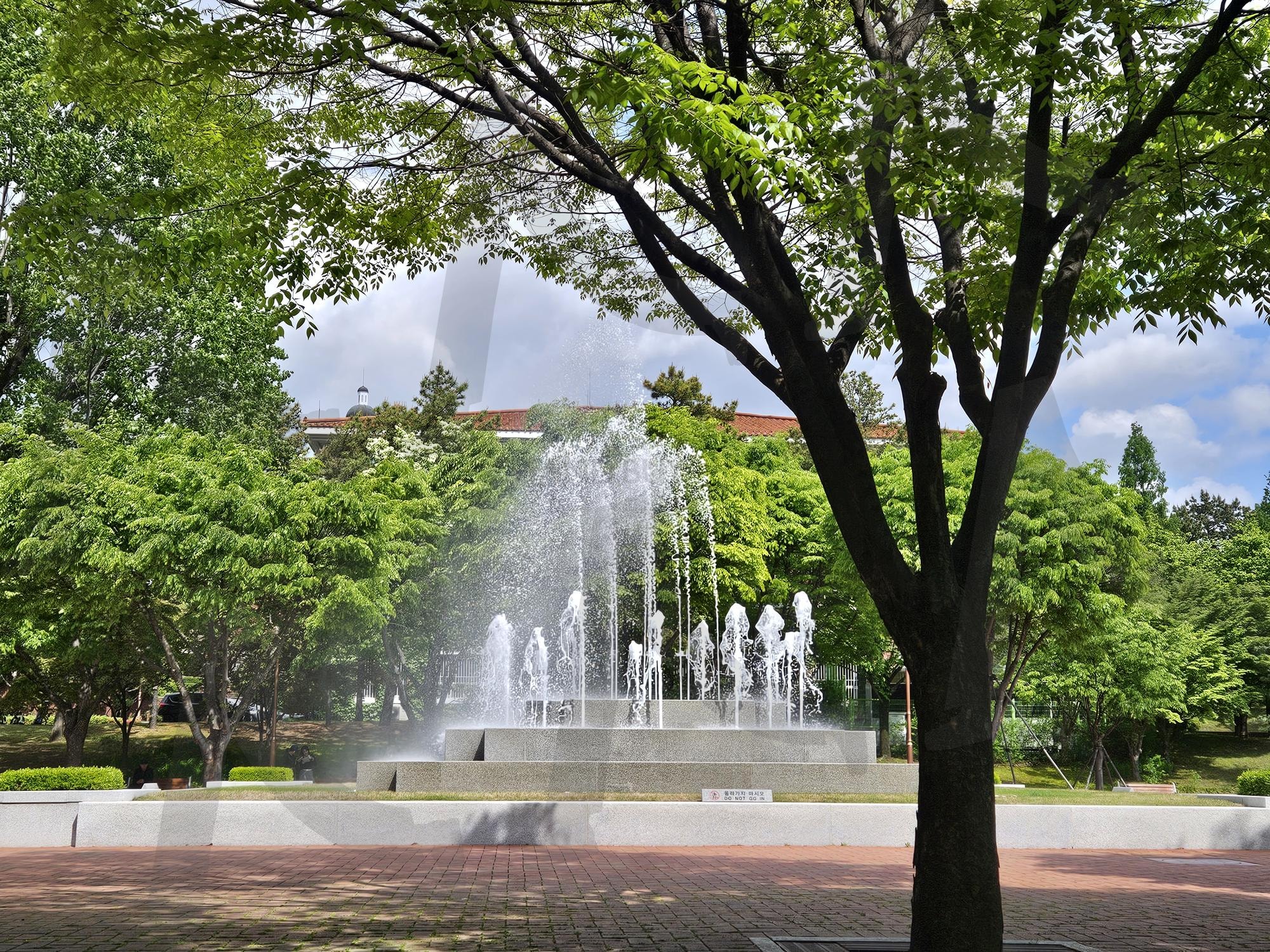 계명대 분수 | 분수, 계명대, 대구, 물, 여름, 더위, 여유, 나무, 산책, 썸네일 | 스탠바이 STANDBUY 디지털 콘텐츠