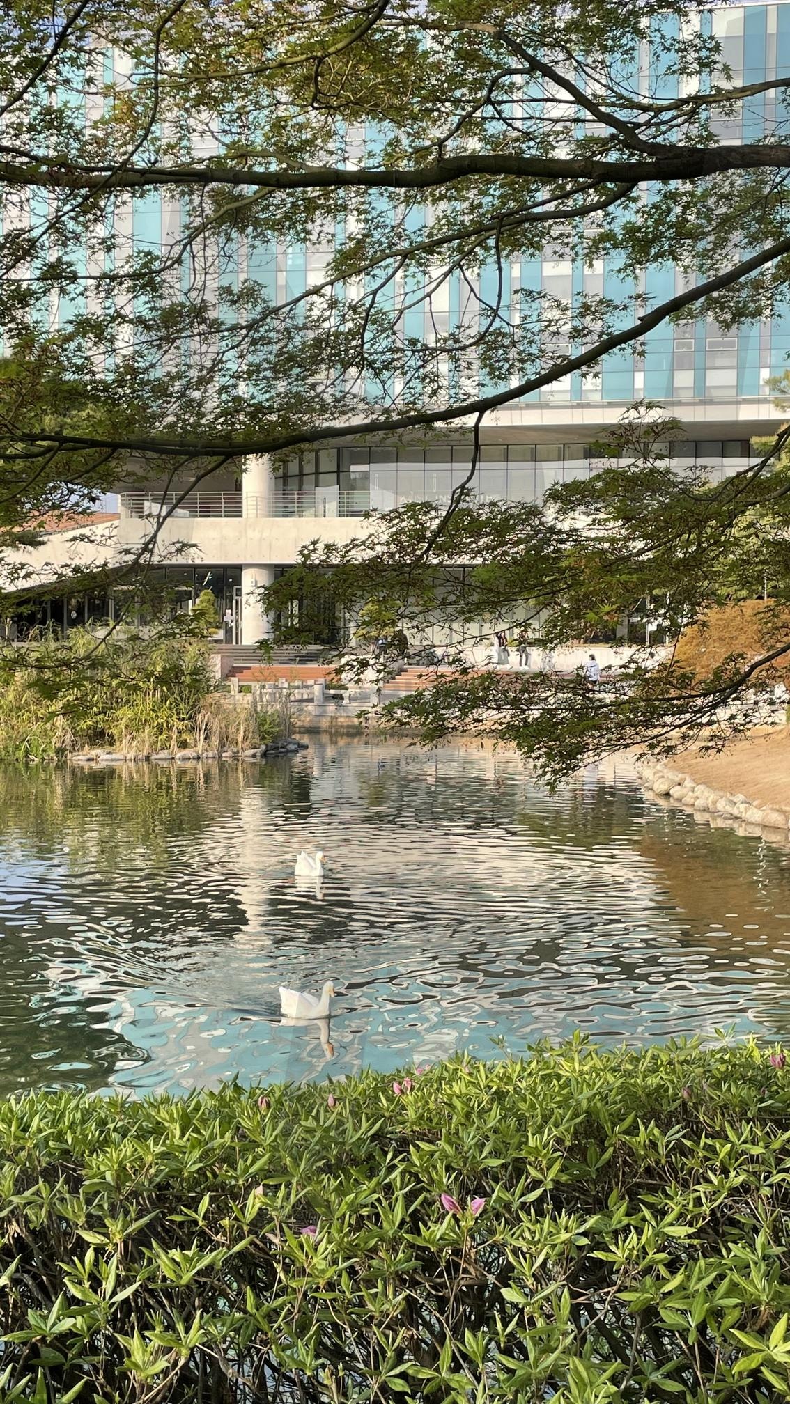 대전 카이스트 | 대전, 카이스트, 캠퍼스사진, 카이스트캠퍼스, 대전사진, 대학교사진, 대학교, 대학교캠퍼스 | 스탠바이 STANDBUY 디지털 콘텐츠