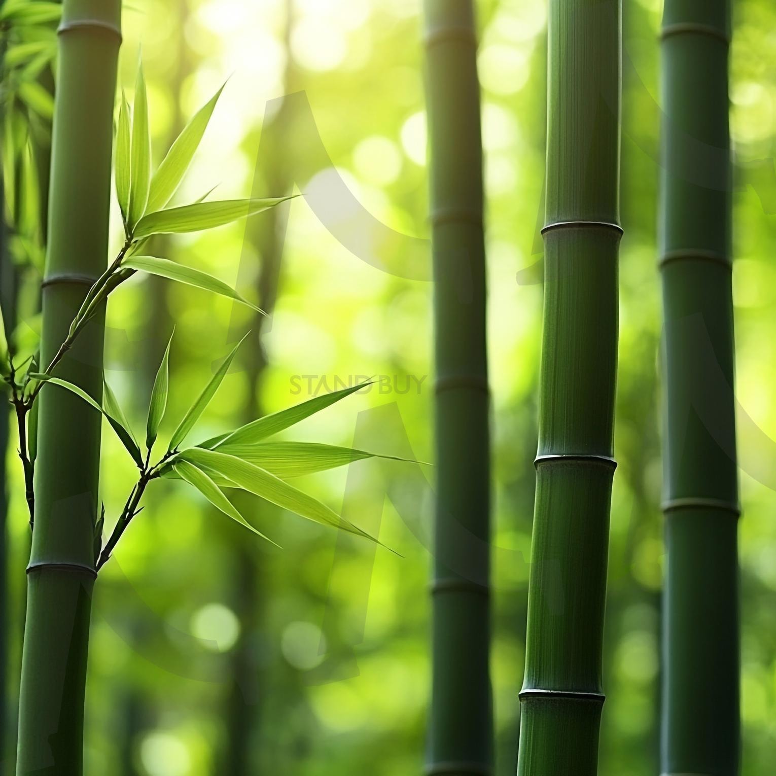 대나무숲 | 대나무숲, 대나무, 죽림, 푸른숲, 자연, 산책로, 힐링, 피톤치드, 그늘, 대나무길, 대나무잎, 대나무줄기, 숲속산책, 명상, 청량감, 여름숲, 사계절숲, 산림욕, 휴식, 평온, 야외활동, 풍경, 죽순, ai | 스탠바이 STANDBUY 디지털 콘텐츠