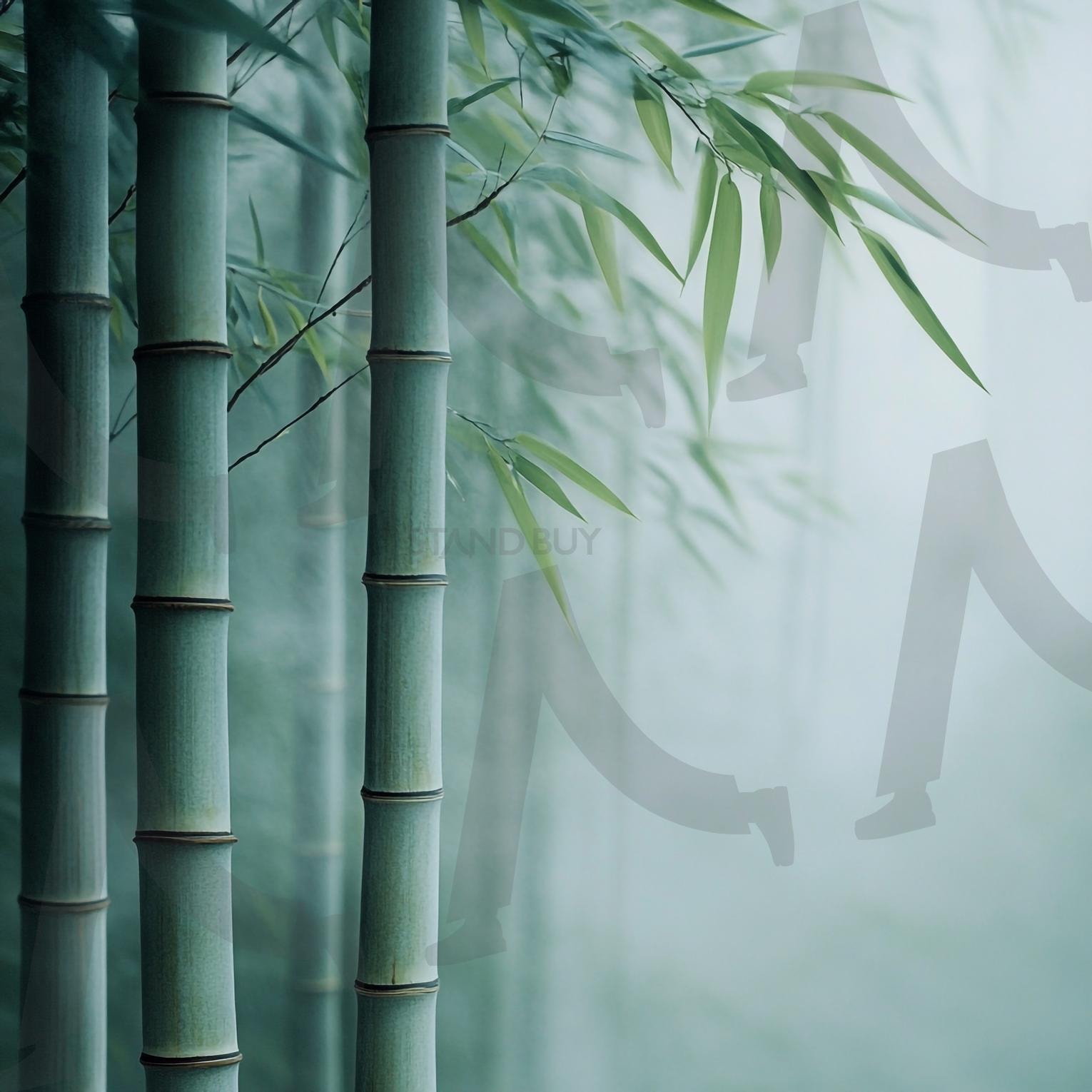 대나무숲 | 대나무숲, 대나무, 죽림, 푸른숲, 자연, 산책로, 힐링, 피톤치드, 그늘, 대나무길, 대나무잎, 대나무줄기, 숲속산책, 명상, 청량감, 여름숲, 사계절숲, 산림욕, 휴식, 평온, 야외활동, 풍경, 죽순, ai | 스탠바이 STANDBUY 디지털 콘텐츠