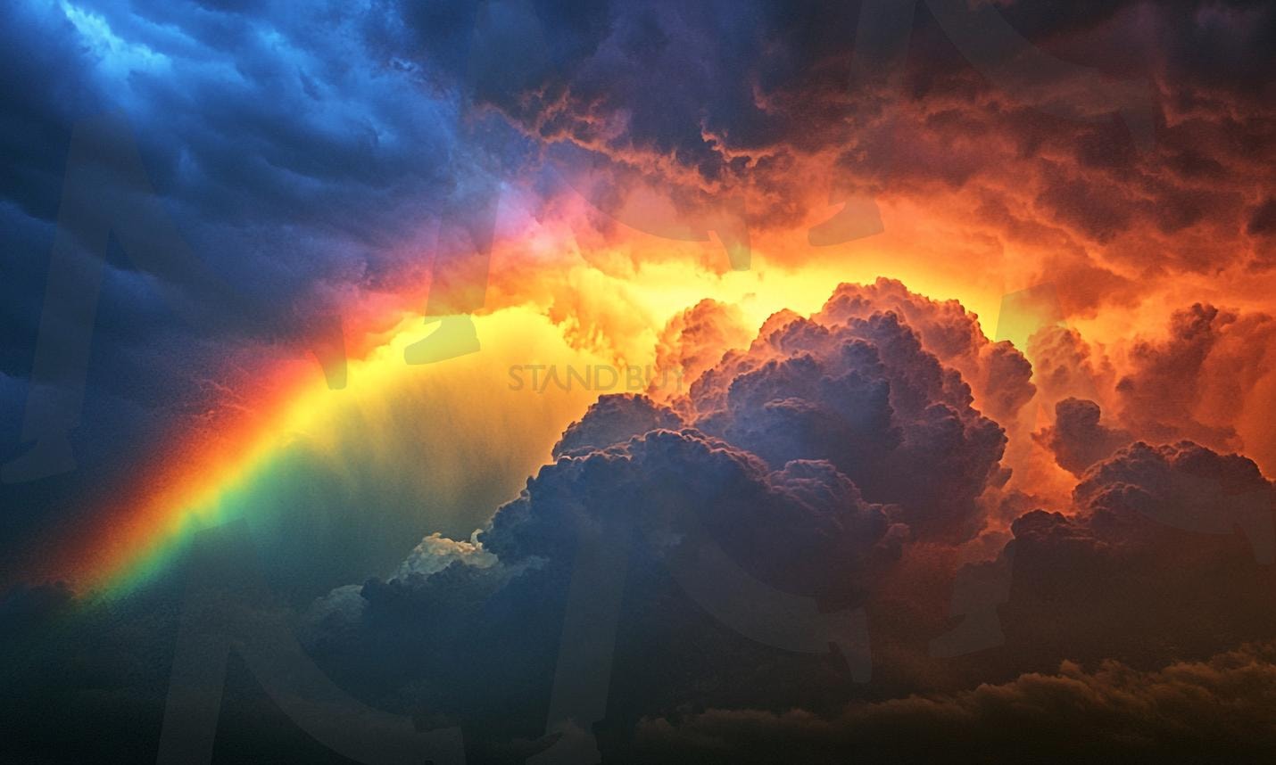 무지개 | 무지개, 레인보우, rainbow, 숲, 맑음, 무지개빛, 일기예보, 날씨, 스펙트럼, 하늘, 자연, 구름, ai | 스탠바이 STANDBUY 디지털 콘텐츠