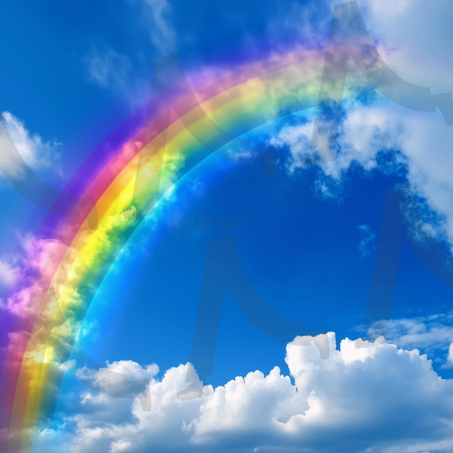 무지개 | 무지개, 레인보우, rainbow, 숲, 맑음, 무지개빛, 일기예보, 날씨, 스펙트럼, 하늘, 구름, ai | 스탠바이 STANDBUY 디지털 콘텐츠