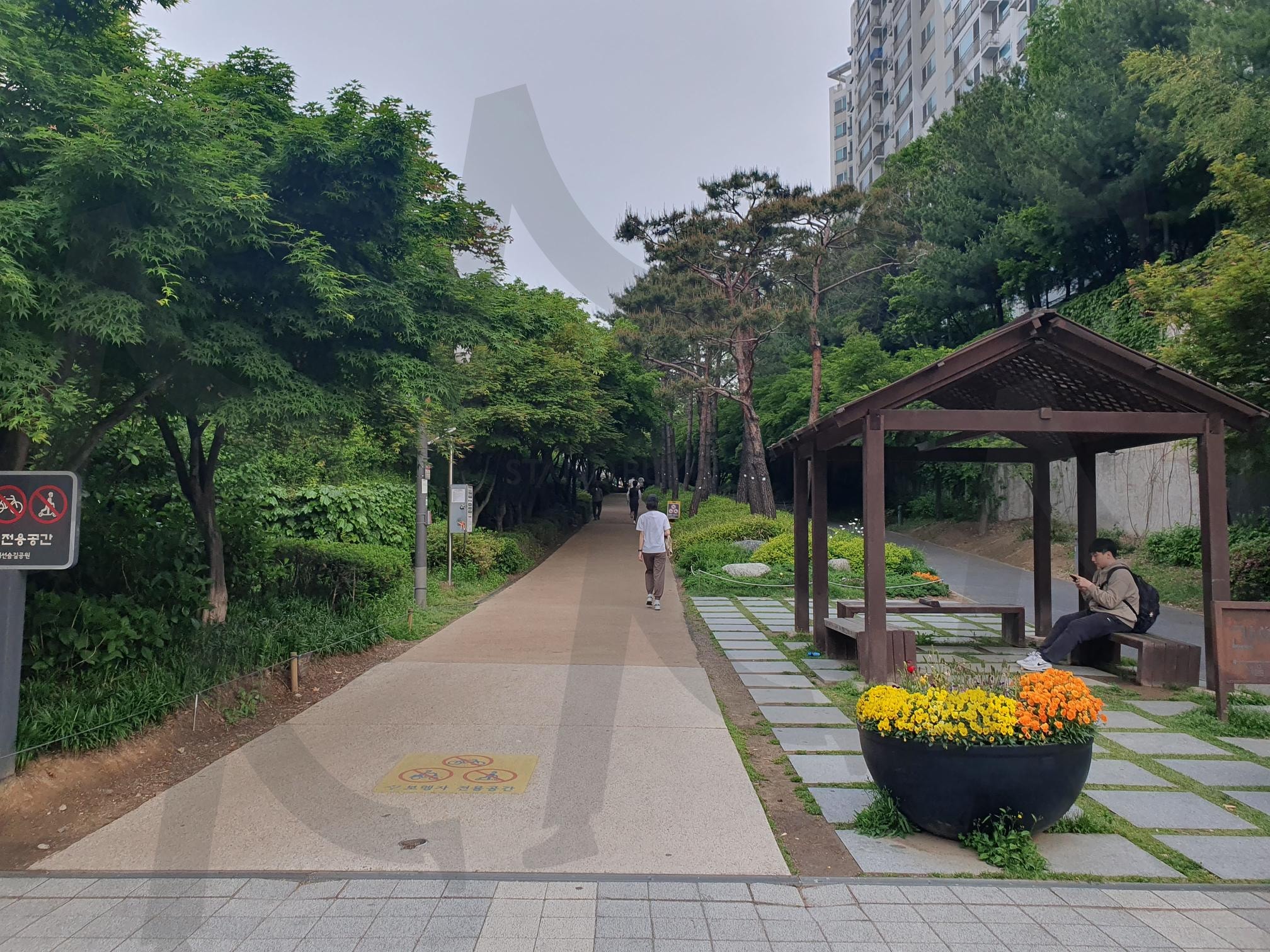 경의선 숲길 산책 | 서울 마포구, 경의선숲길, 산책, 서울여행, 걷기 | 스탠바이 STANDBUY 디지털 콘텐츠