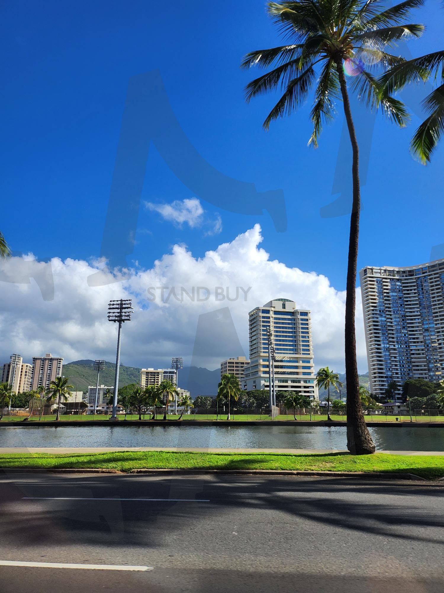 자연배경 | 하늘, 자연, 풍경, 도로, 하와이도로, 하와이배경, 여행사진, 맑음, 야자수 | 스탠바이 STANDBUY 디지털 콘텐츠