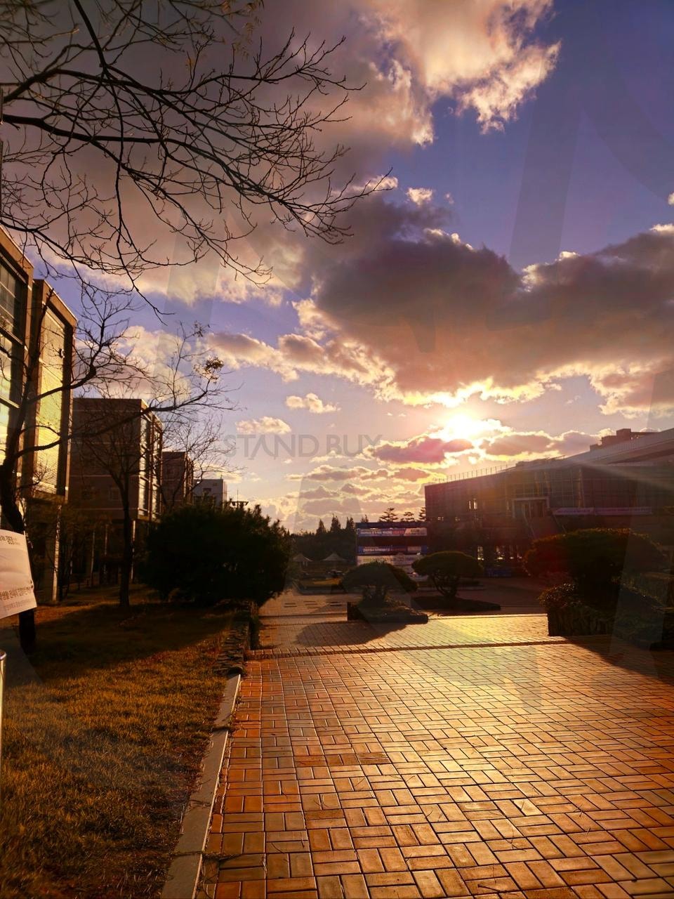 노을빛 캠퍼스 산책로 | 노을, 캠퍼스, 산책로, 저녁, 벽돌길, 구름, 햇살, 겨울나무, 감성사진, 풍경, 일상, 하늘, 따뜻함, 여유, 자연, 현대건축, 일몰, 분위기, 빛, 조화 | 스탠바이 STANDBUY 디지털 콘텐츠