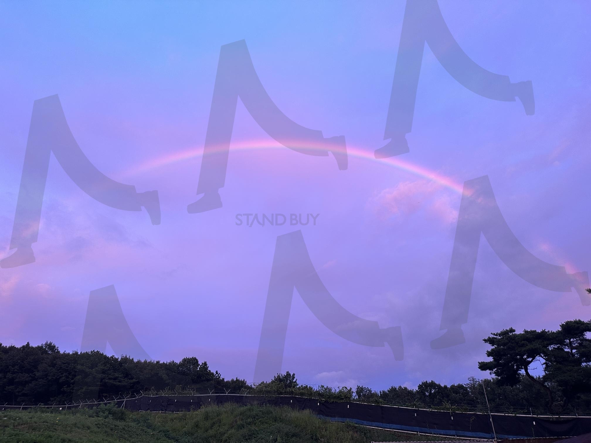 “보랏빛 약속” | 무지개, 보랏빛 하늘, 자연의기적, 감성풍경, 일상속의기적, 무지개사진, 섬세한순간, 감성, 감성하늘, 낭만, 하늘, 풍경, 무지개풍경, 빛의 다리 | 스탠바이 STANDBUY 디지털 콘텐츠