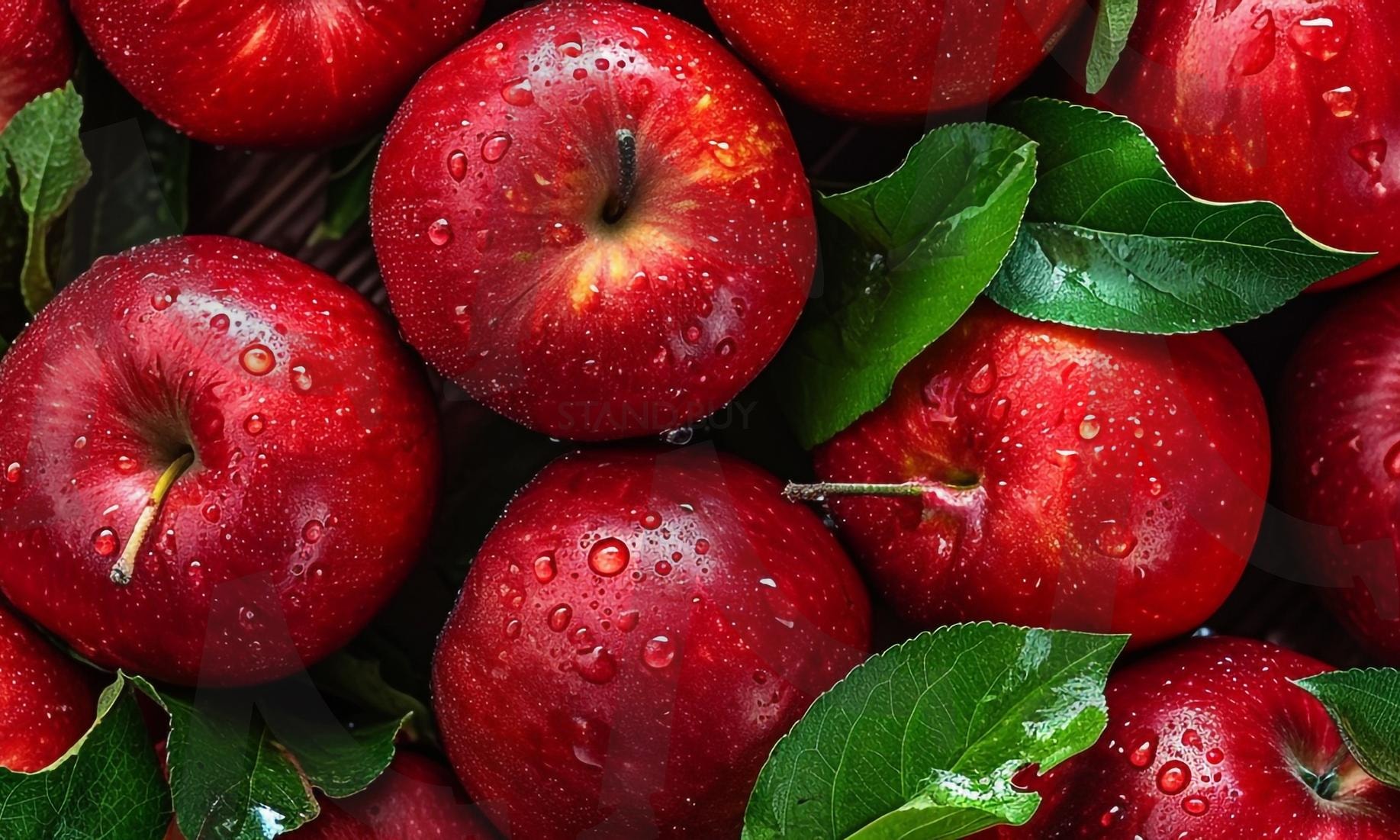 사과 | 사과, 과일, 애플, apple, 신선한, 신선한과일, 디저트, 건강, 풋사과, 청사과, 아오리, ai | 스탠바이 STANDBUY 디지털 콘텐츠