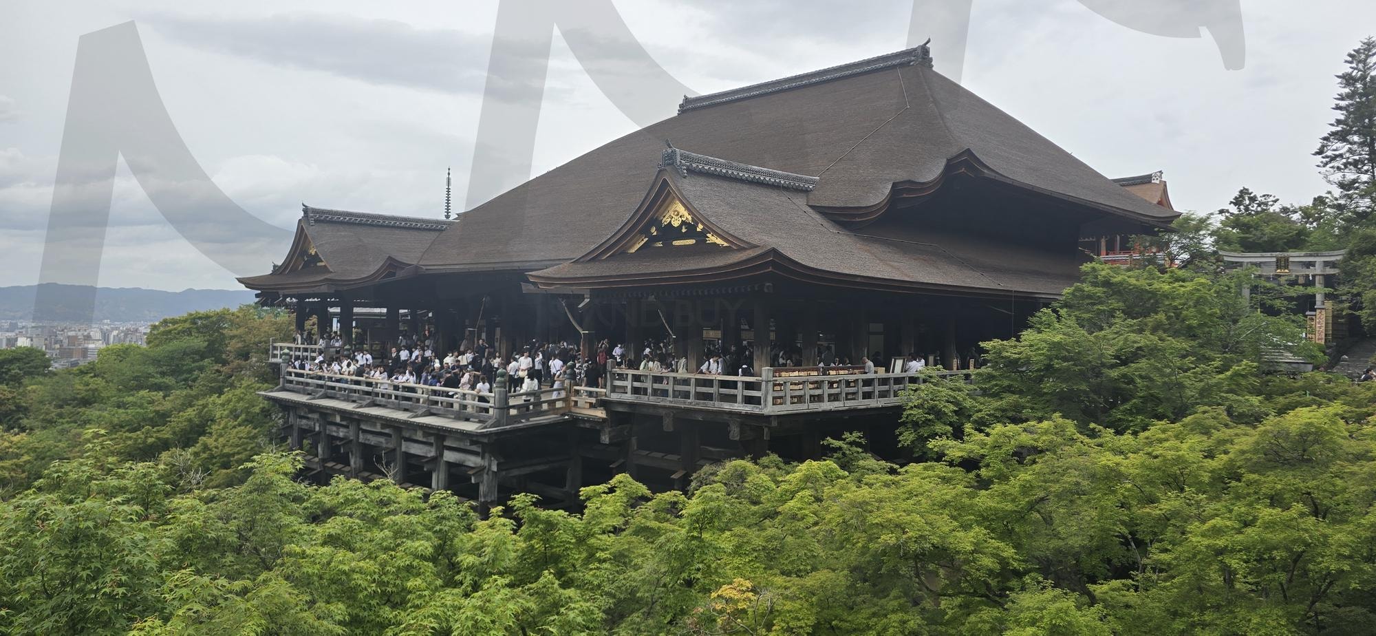 교토 기요미즈데라 본당 전경 | Kiyomizu-dera, kyoto, Japan, temple, main hall, Wooden Architecture, heritage site, traditional japan, travel photo, sightseeing, japanese culture, lush greenery, landscape photography, 교토, 기요미즈데라, 사찰, 일본 여행, 목조건물, 일본 전통건축, 전망대, 문화유산, 절경, 녹음 풍경 | 스탠바이 STANDBUY 디지털 콘텐츠