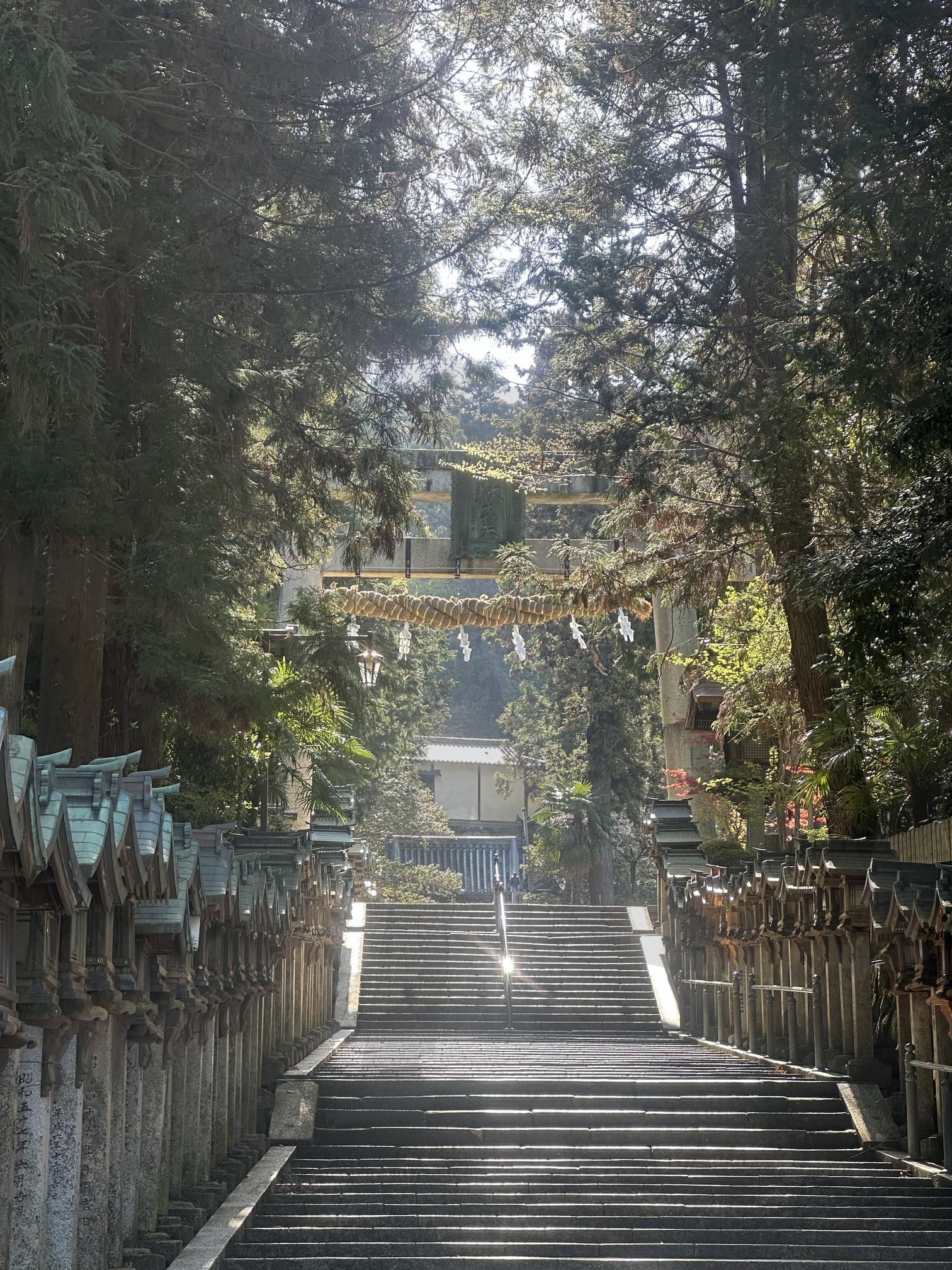 일본 나라 이코마의 고요한 신사 (Tranquility at a Japanese Shrine in Nara) | 신사, 일본신사, 이코마, 보산사, 일본 | 스탠바이 STANDBUY 디지털 콘텐츠