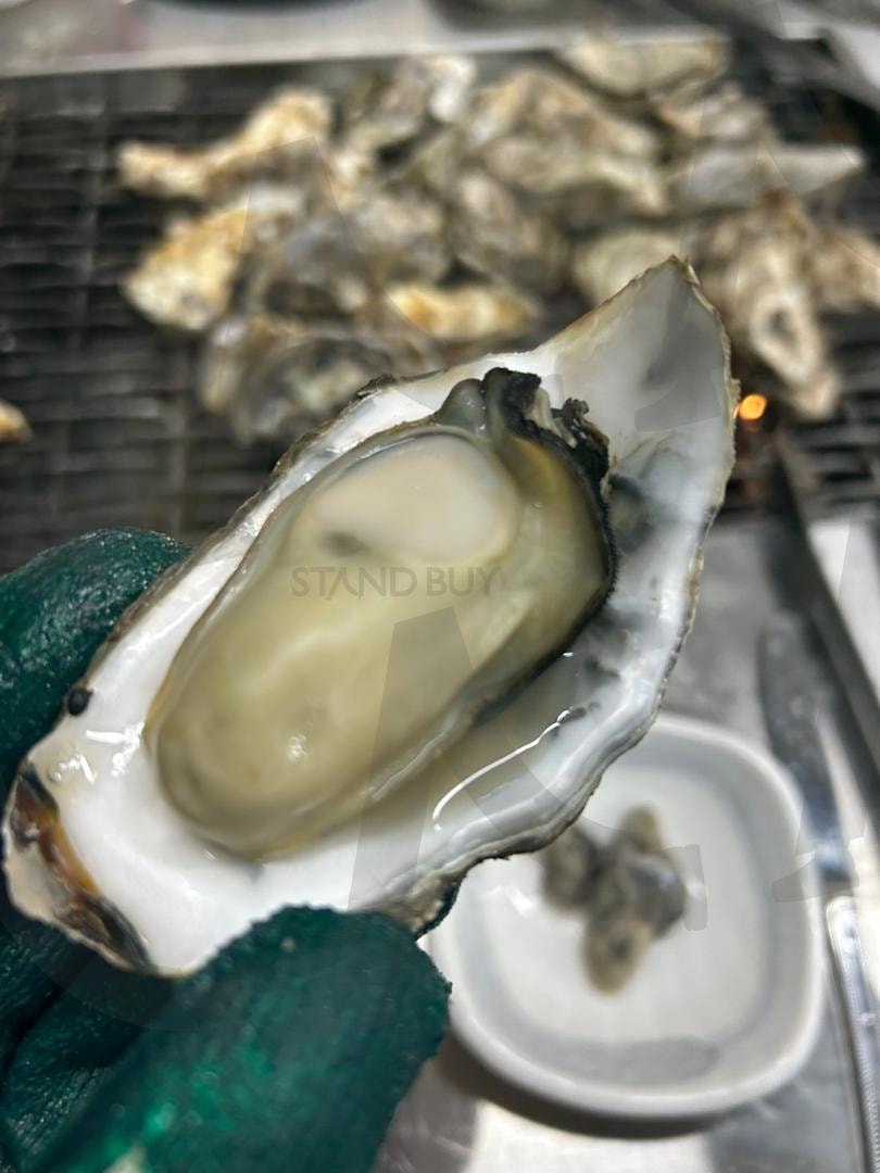 천북 굴구이 | 보령, 천북, 굴구이, 연탄, 바다 | 스탠바이 STANDBUY 디지털 콘텐츠