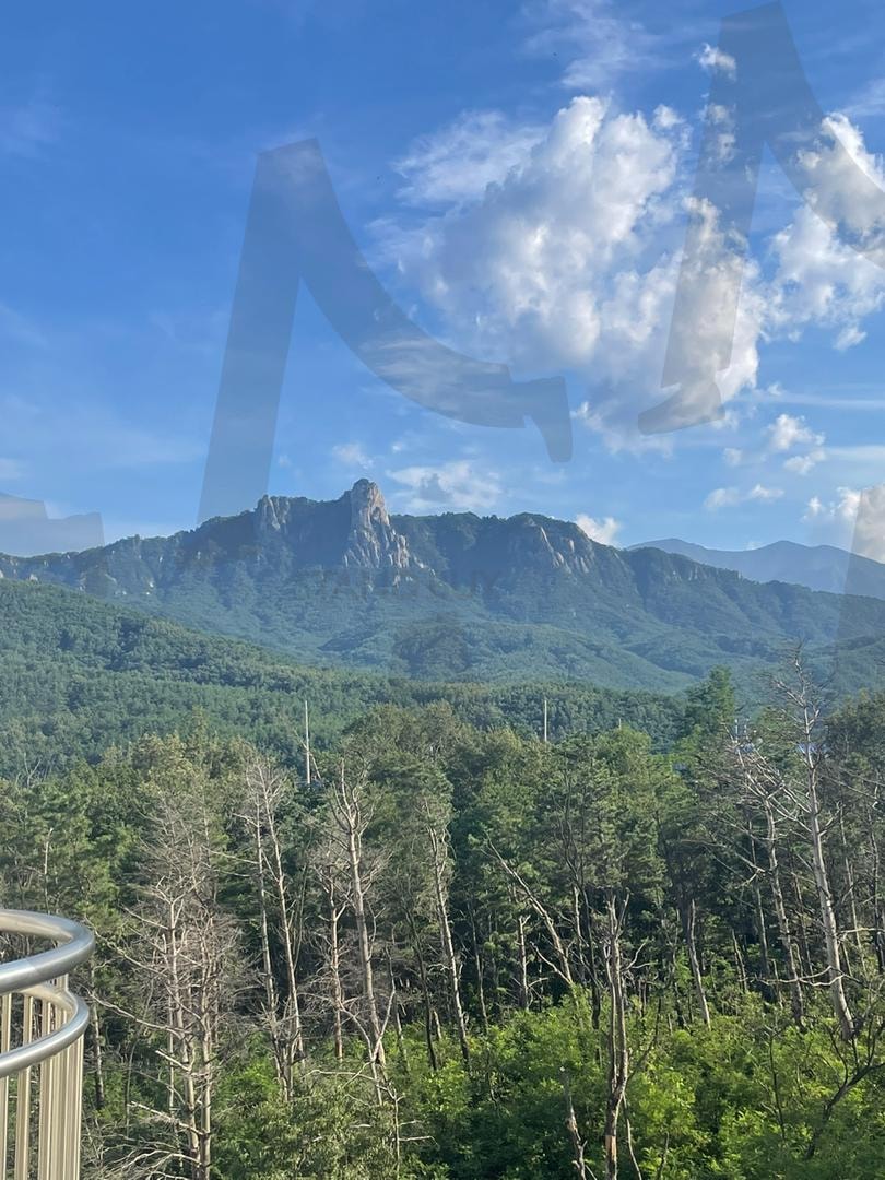 설악산풍경02 | 설악산, 울산바위, 자연, 숲, 나무 | 스탠바이 STANDBUY 디지털 콘텐츠